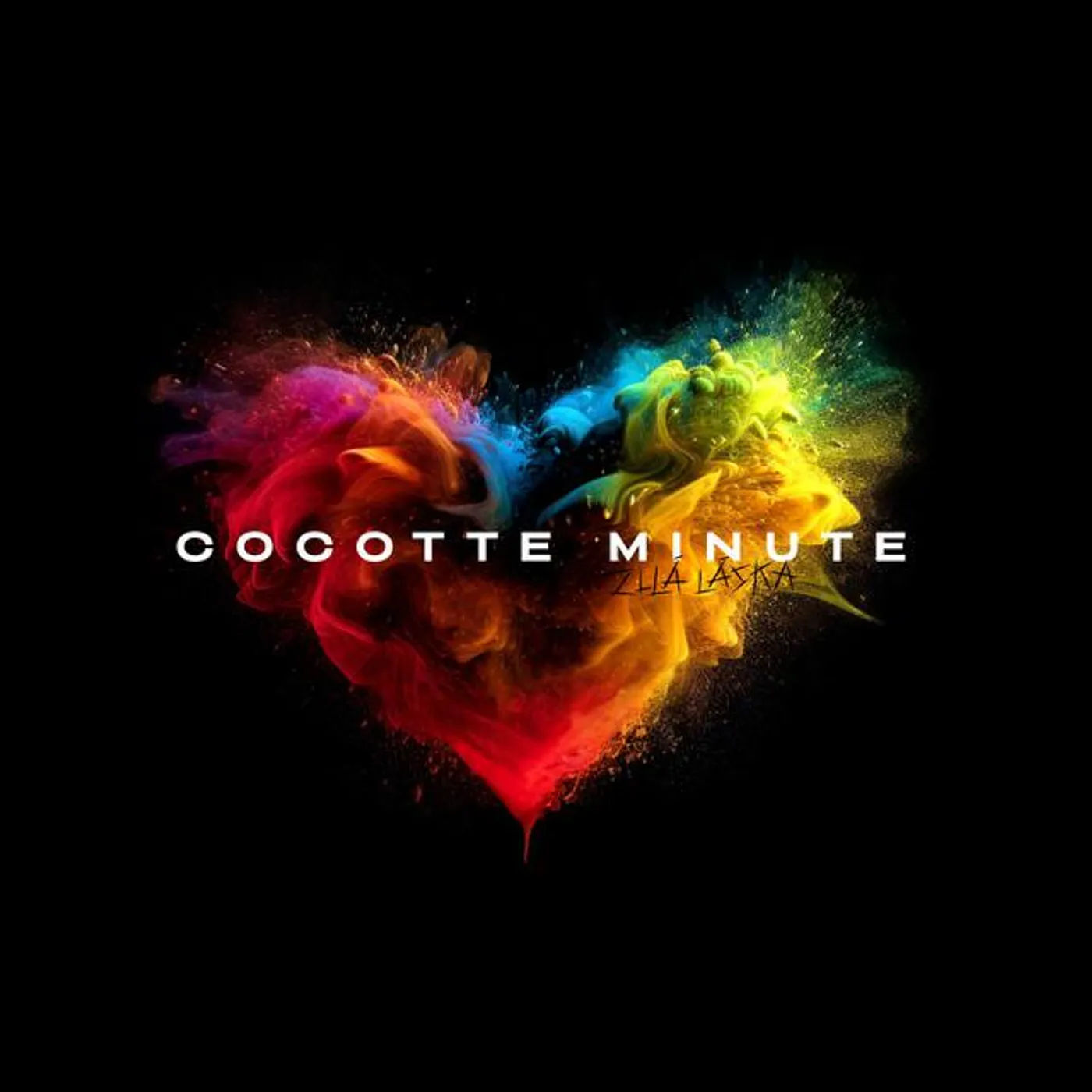 Cocotte Minute Brand Page