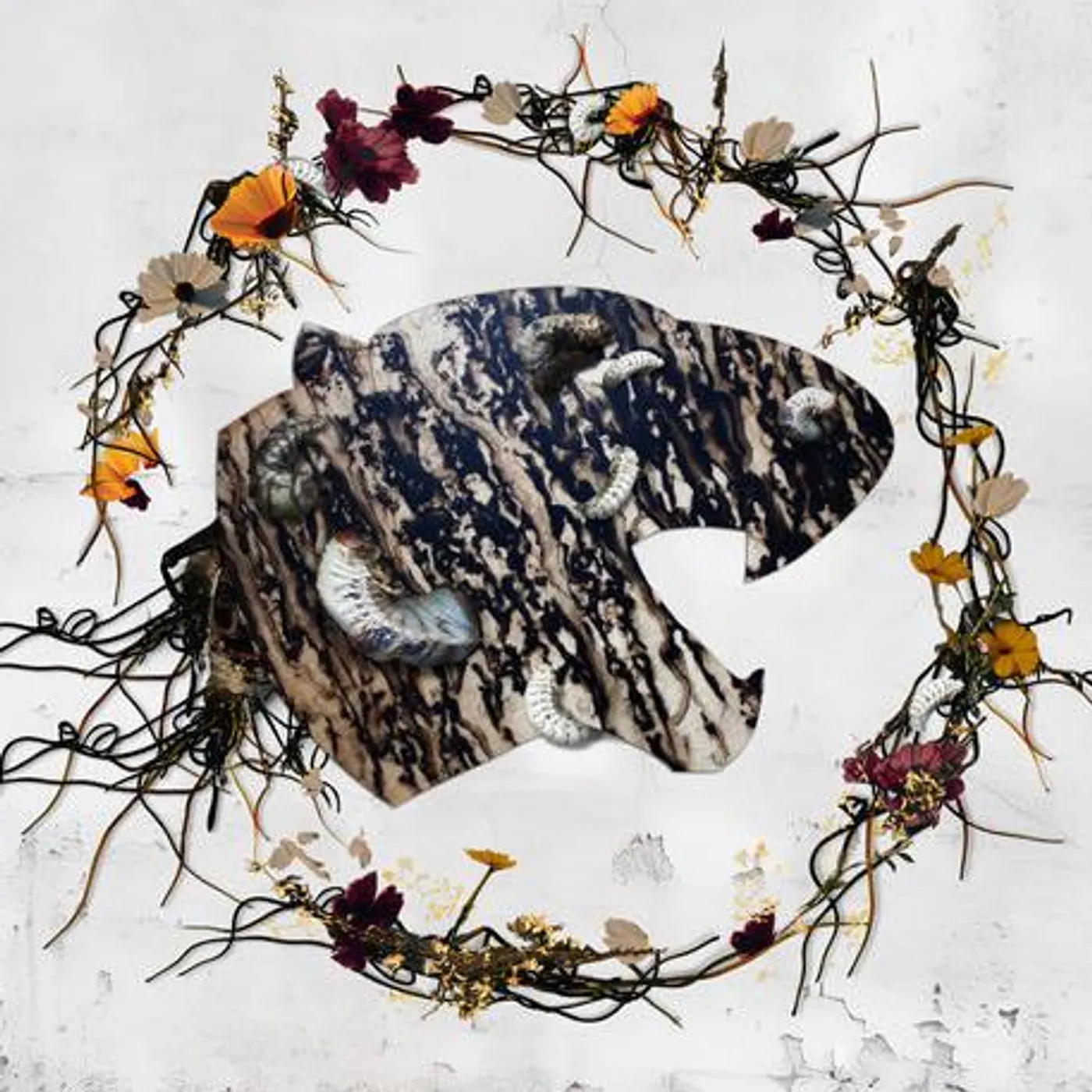 Code Orange Brand Page