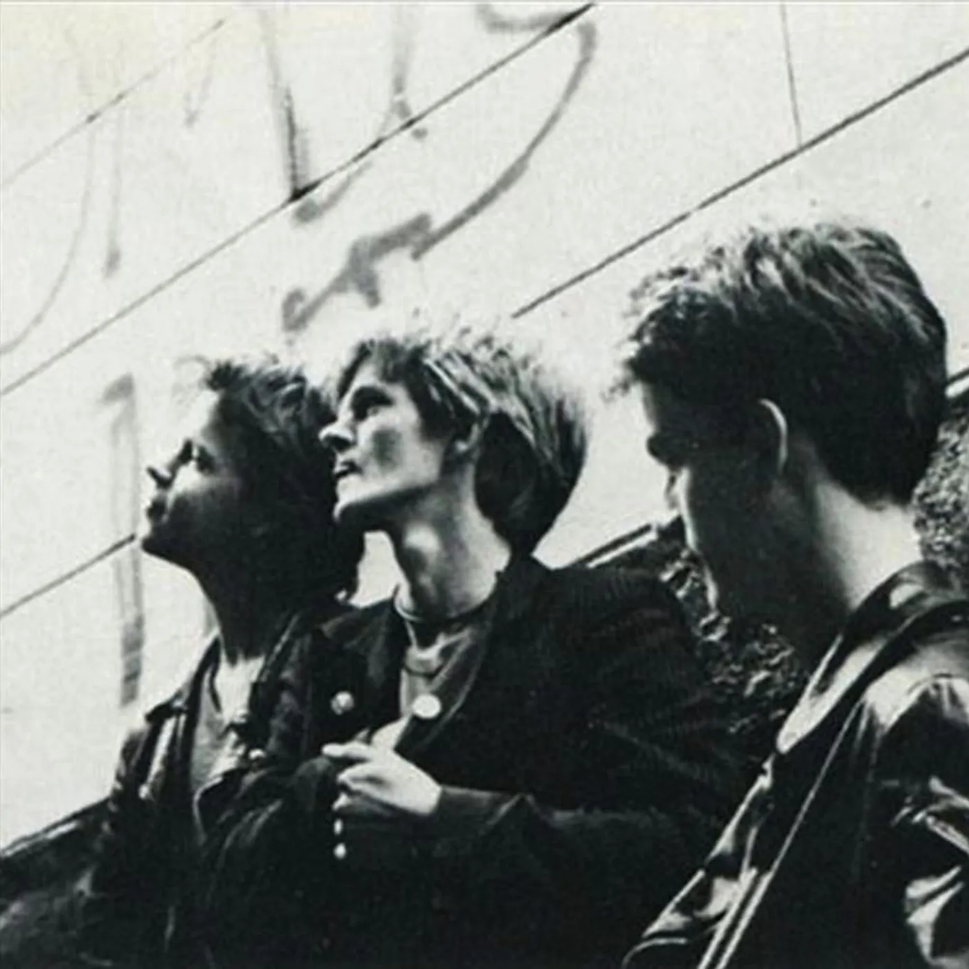 Coïtus Int. Brand Page