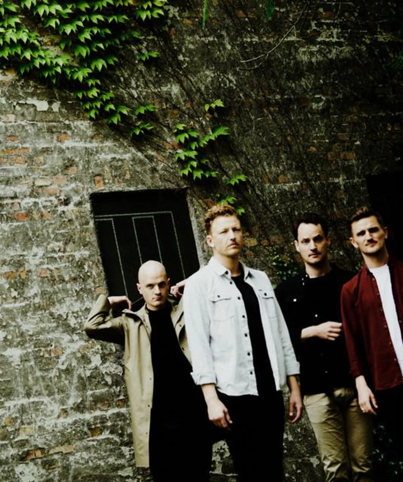 Cold Night For Alligators