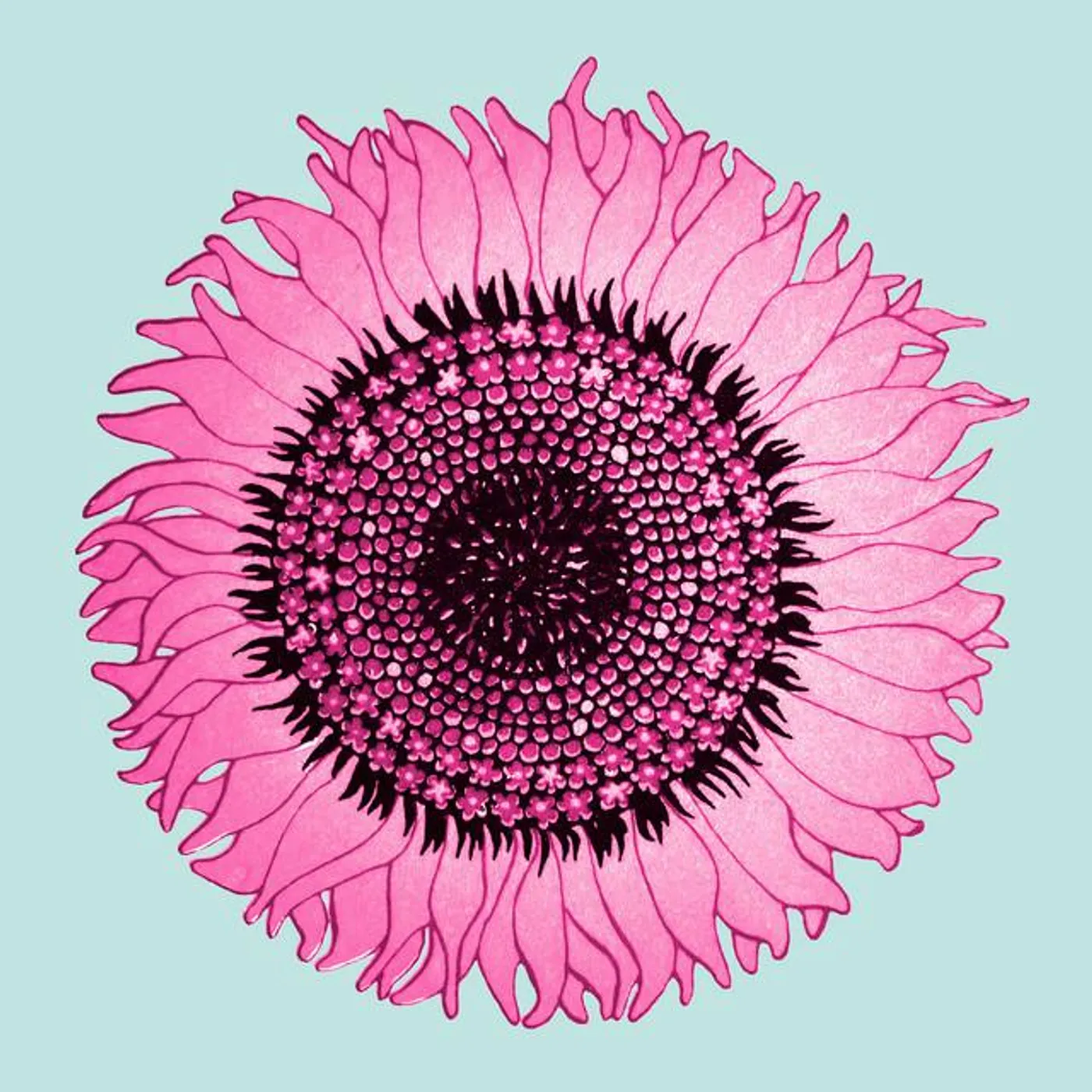 Colored Lights Brand Page