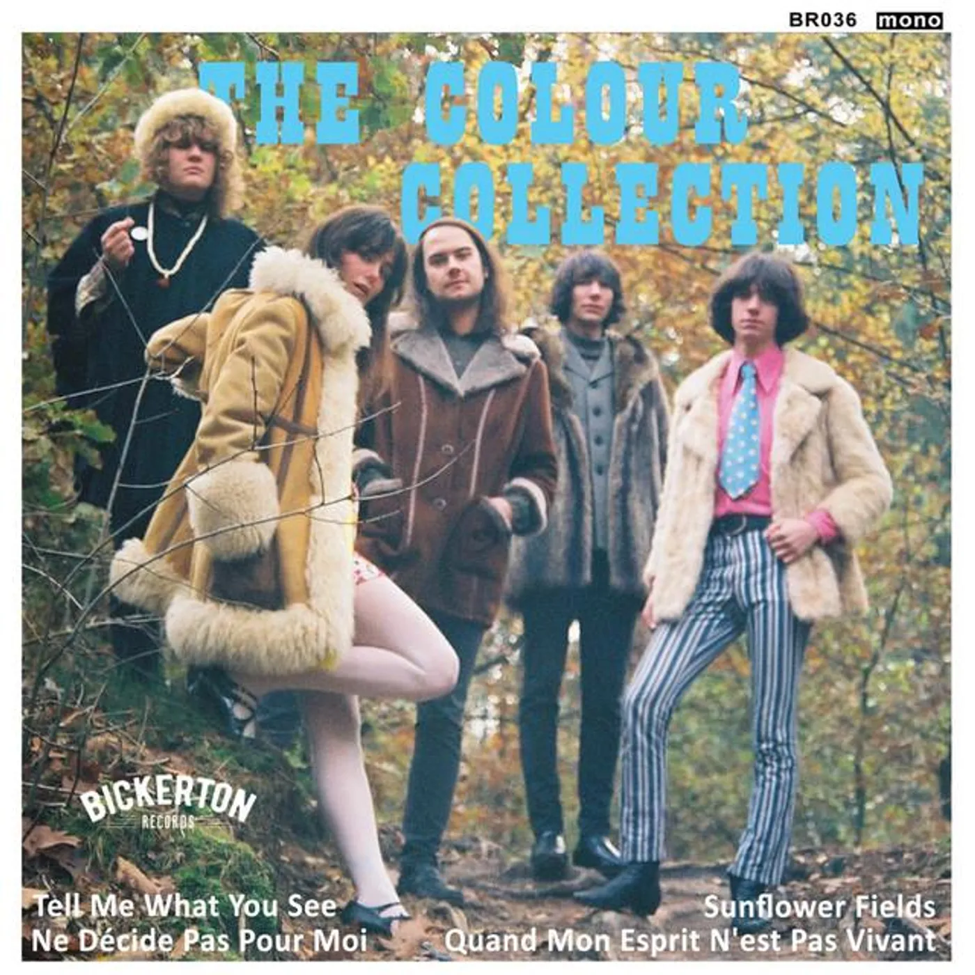 The Colour Collection Brand Page