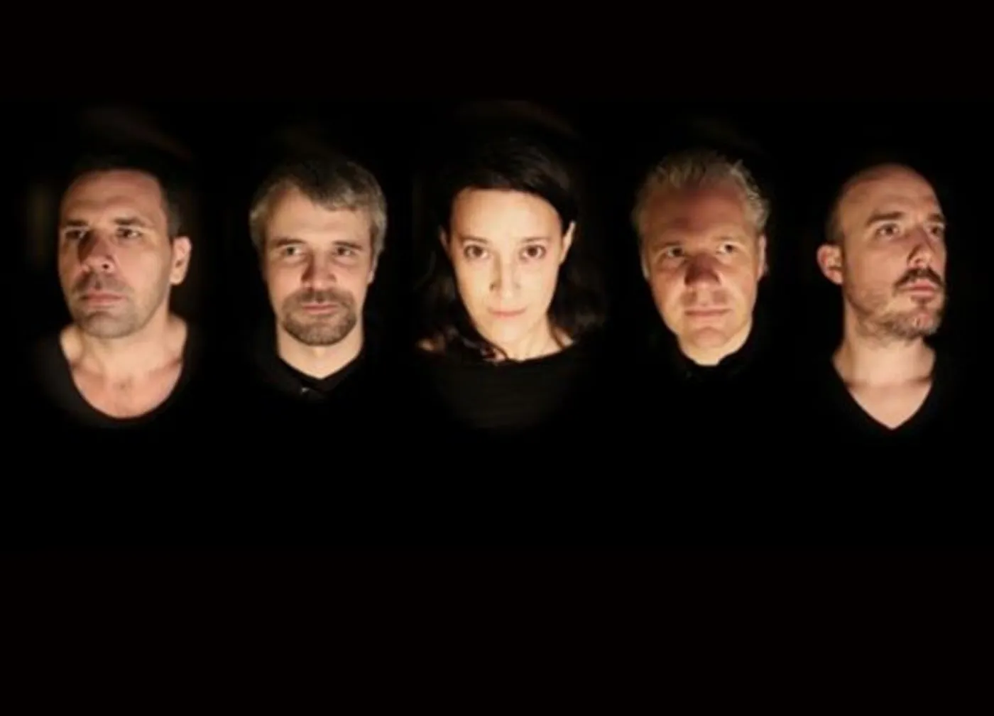 Collections Of Colonies Of Bees