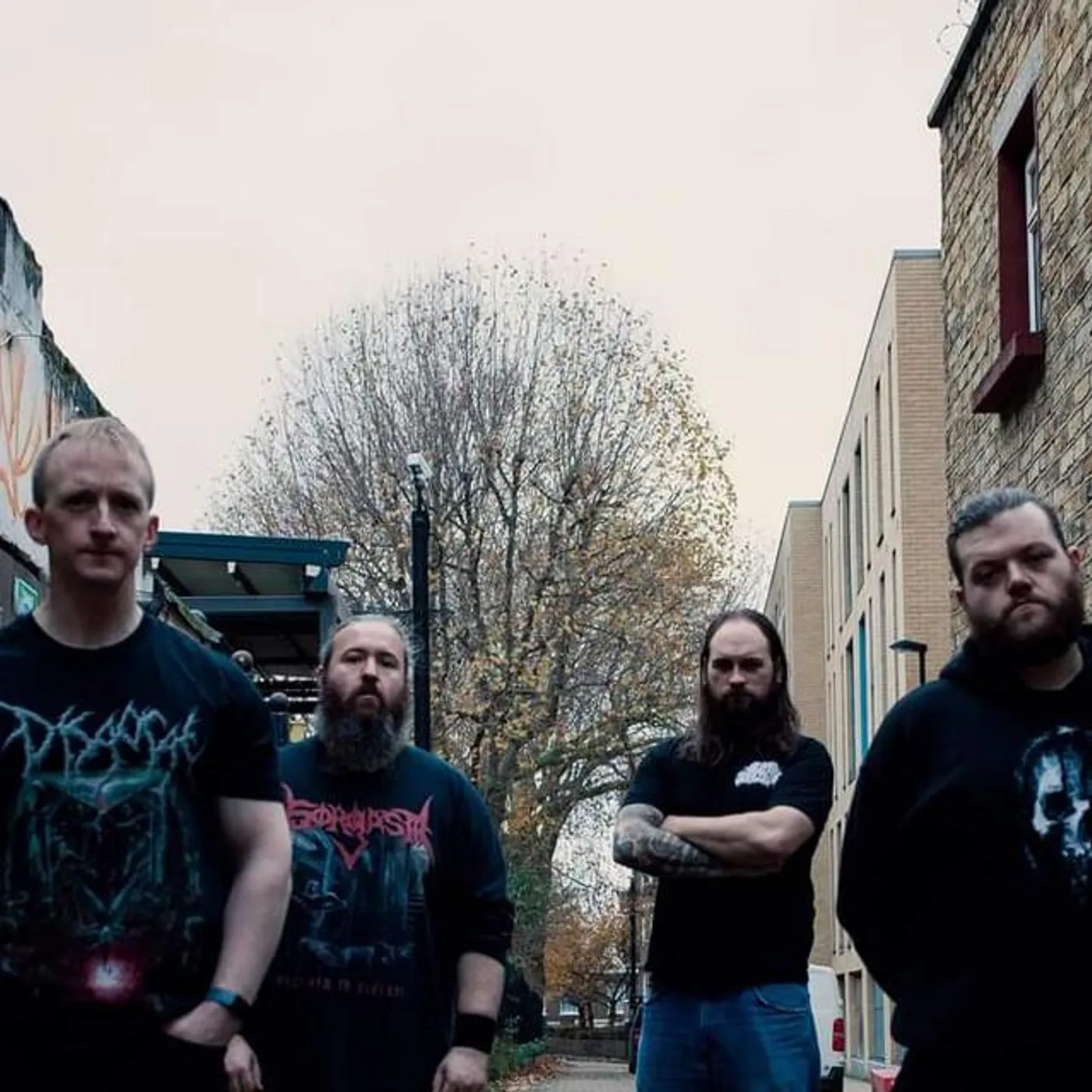 Colpocleisis Brand Page