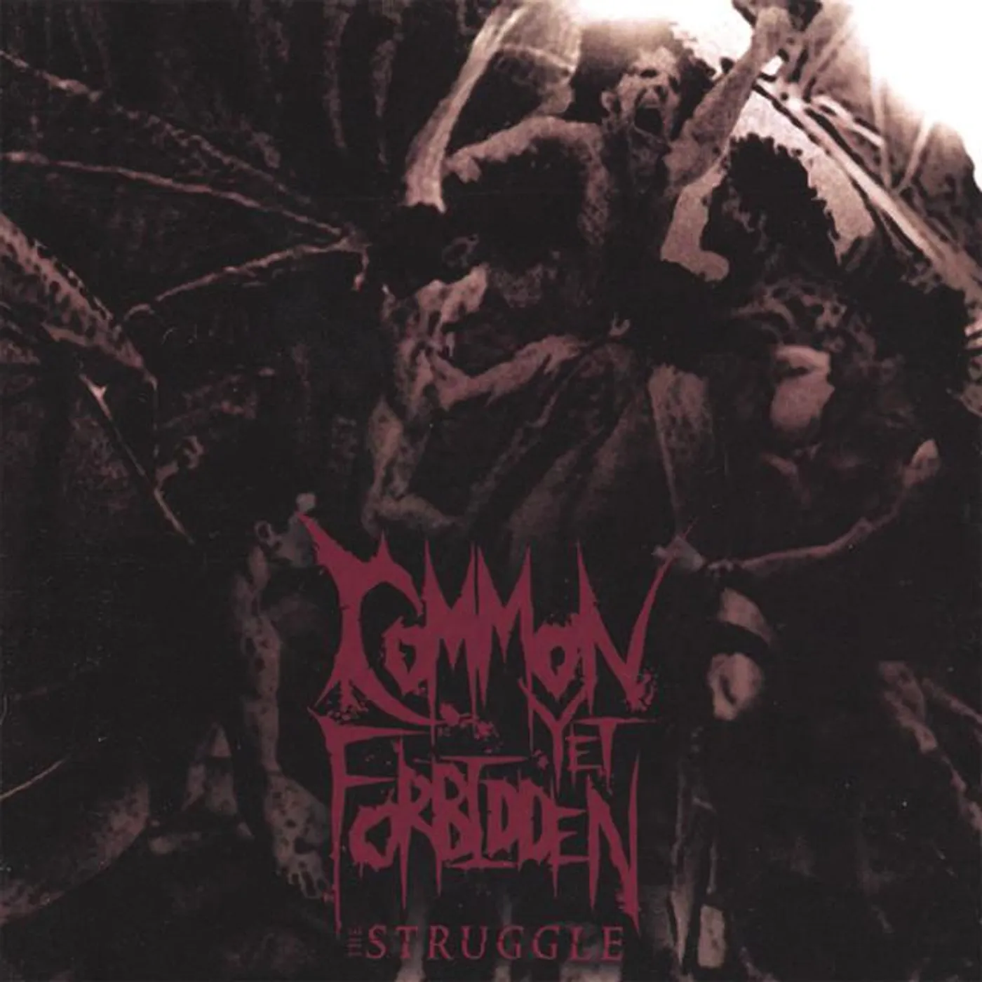 Common Yet Forbidden