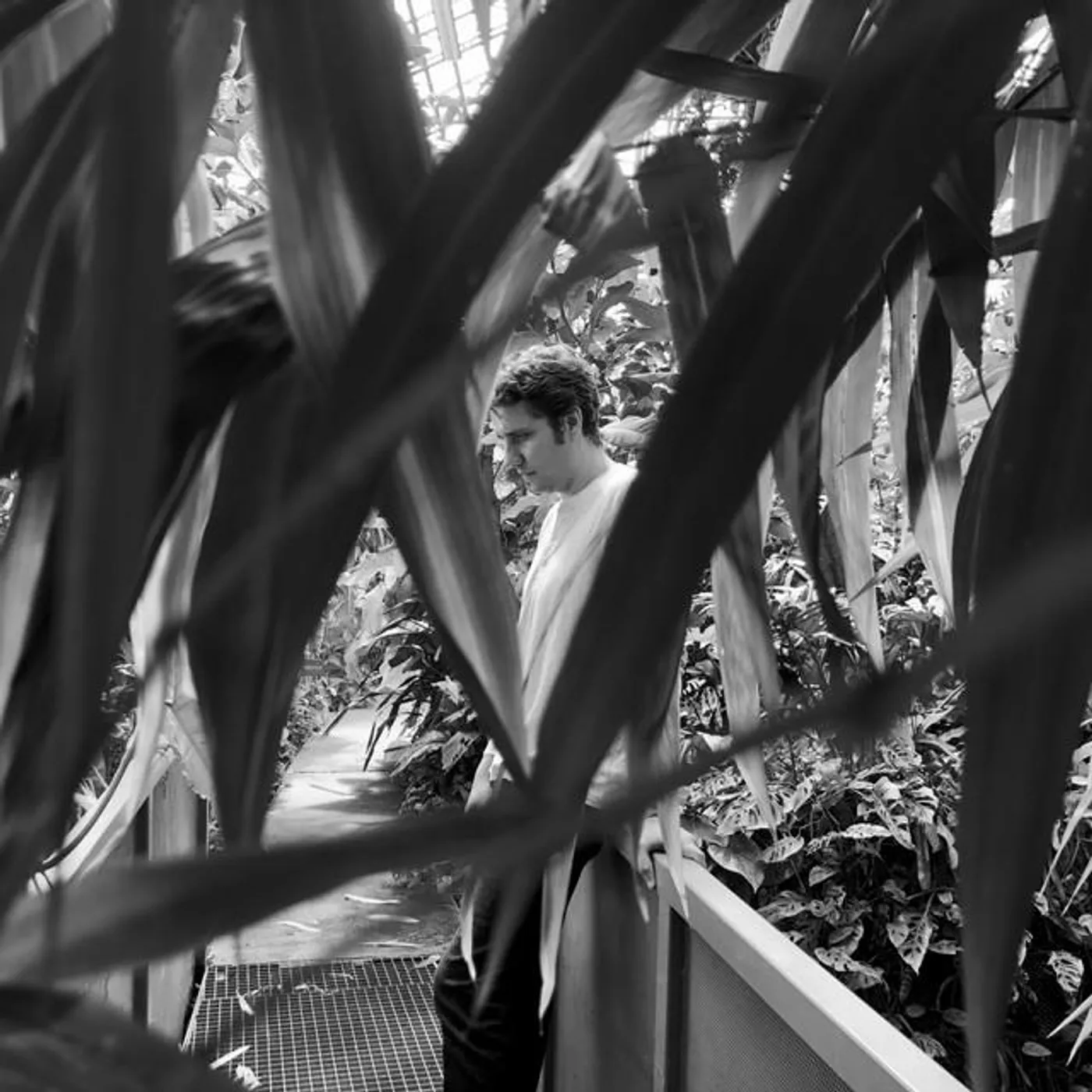 Compuphonic Brand Page