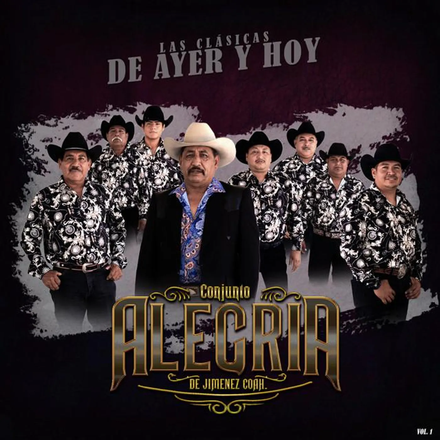 Conjunto Alegria de Jimenez Coah.