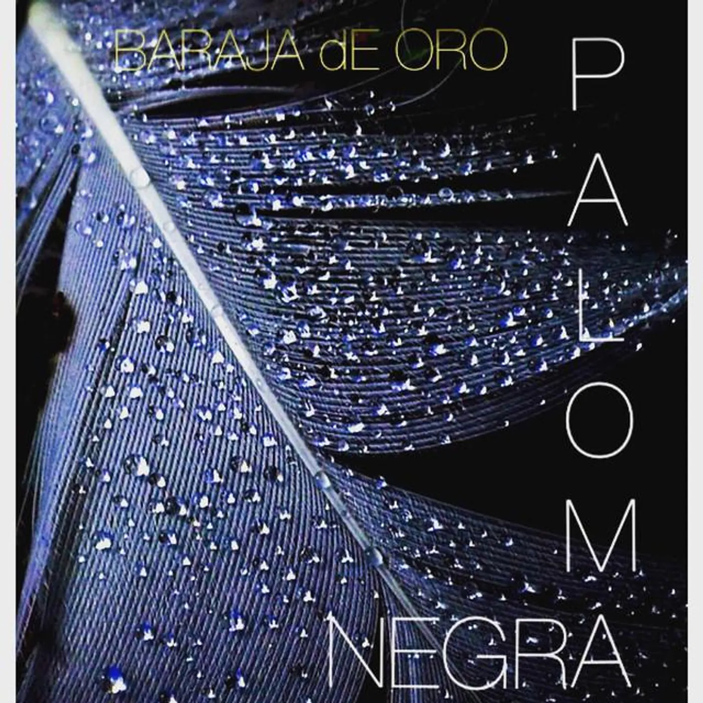 Conjunto Baraja De ORO