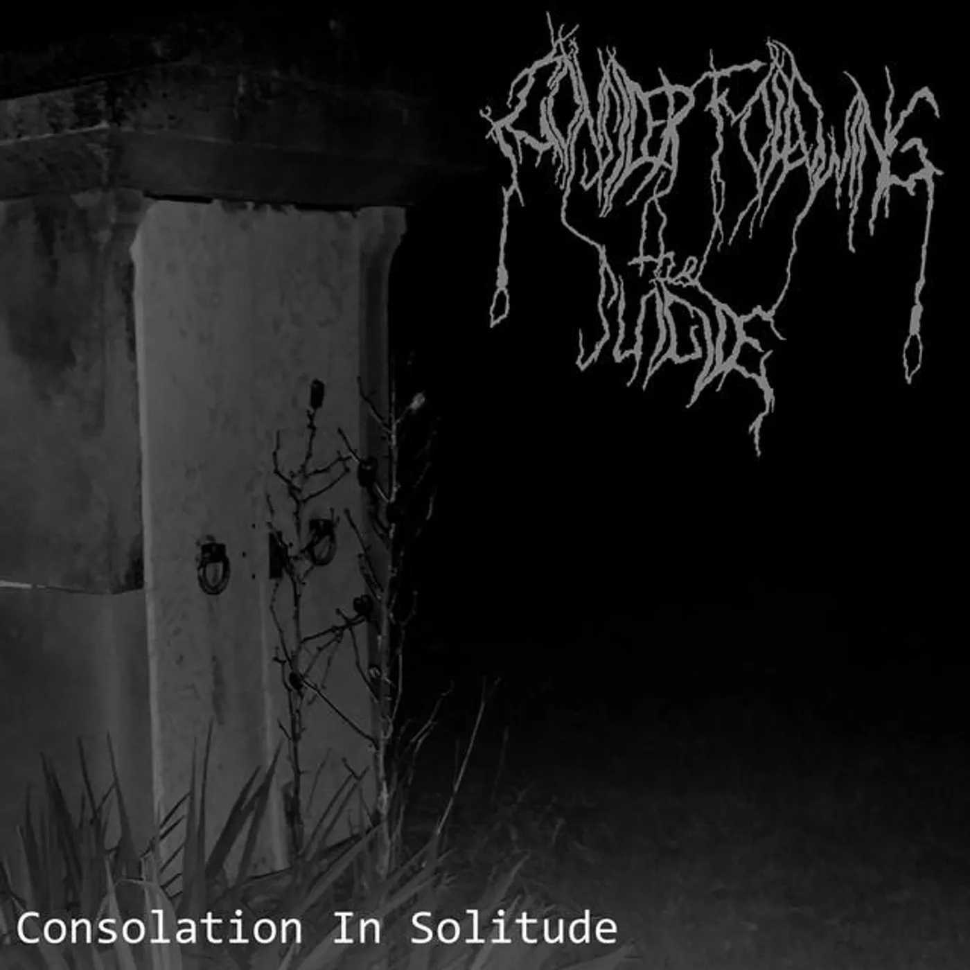 Consider The Following