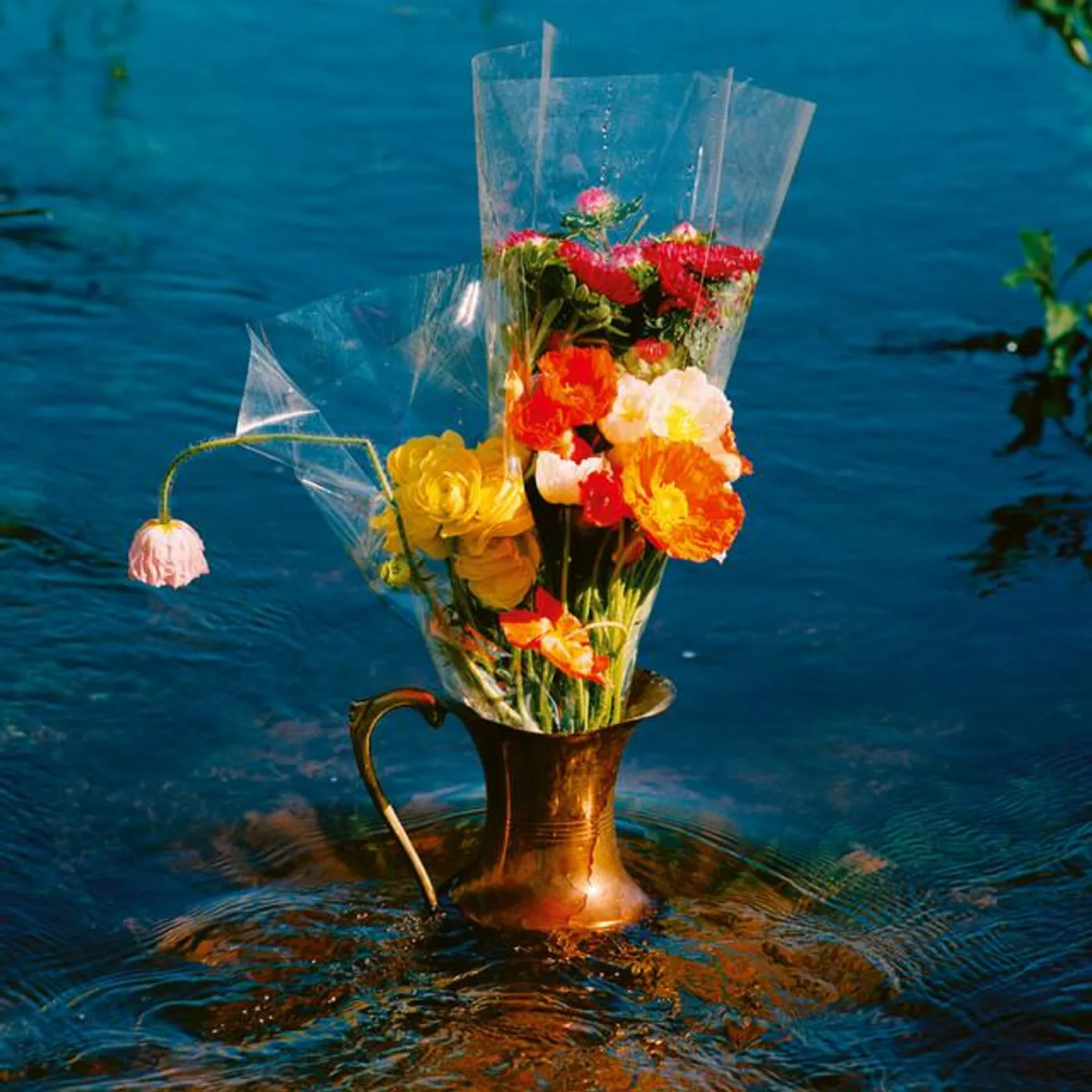 Constellatia Brand Page