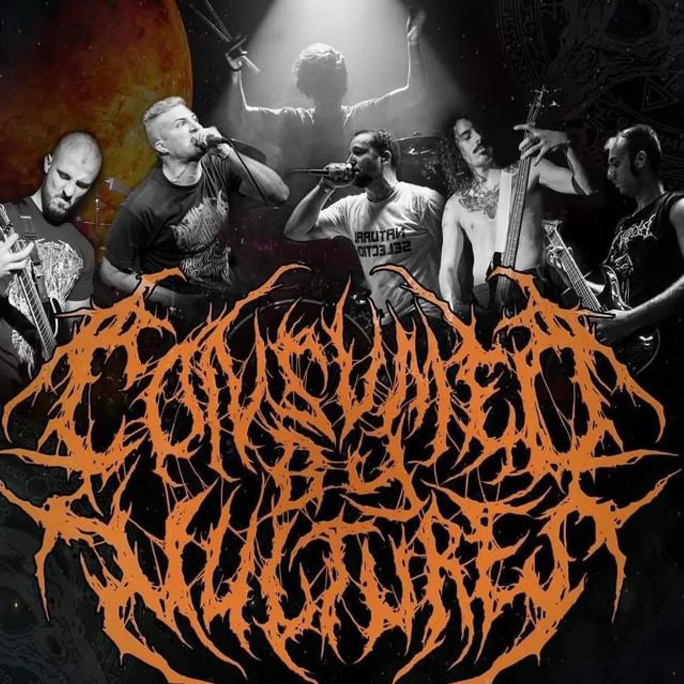 Consumed by Vultures