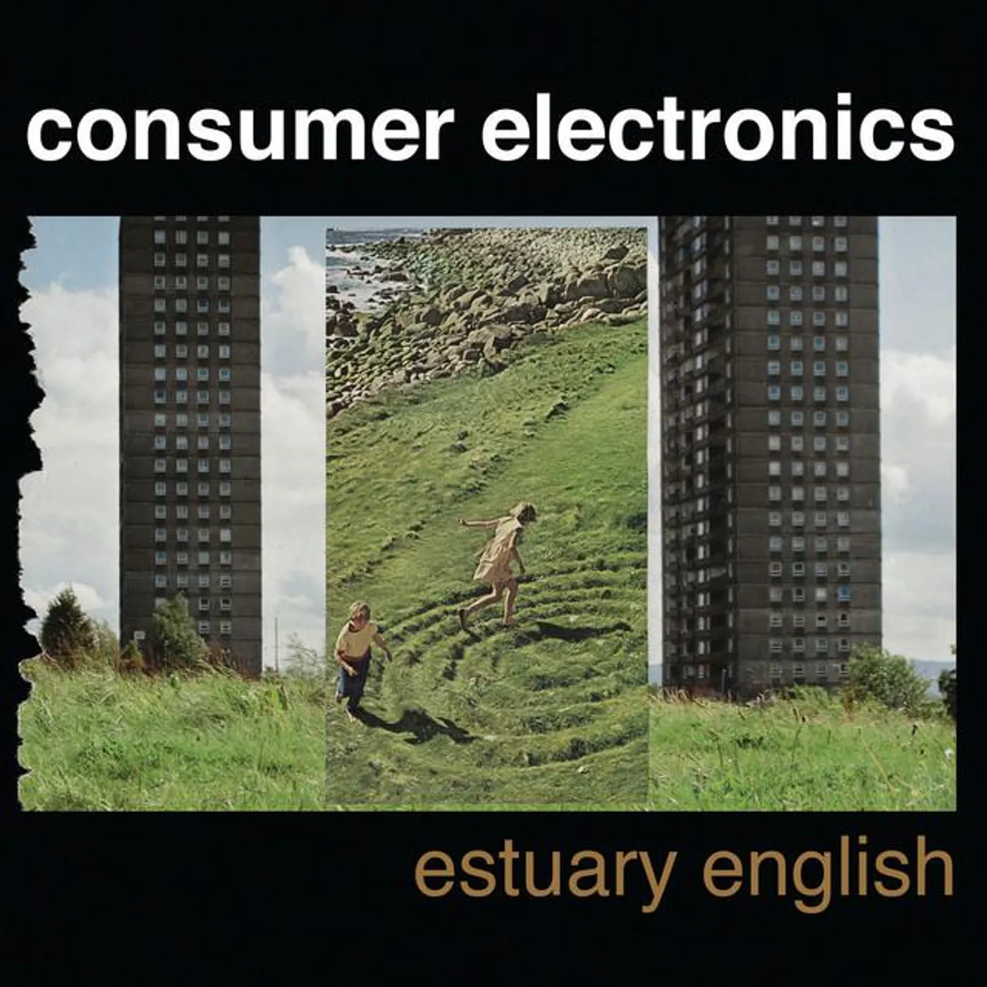 Consumer Electronics