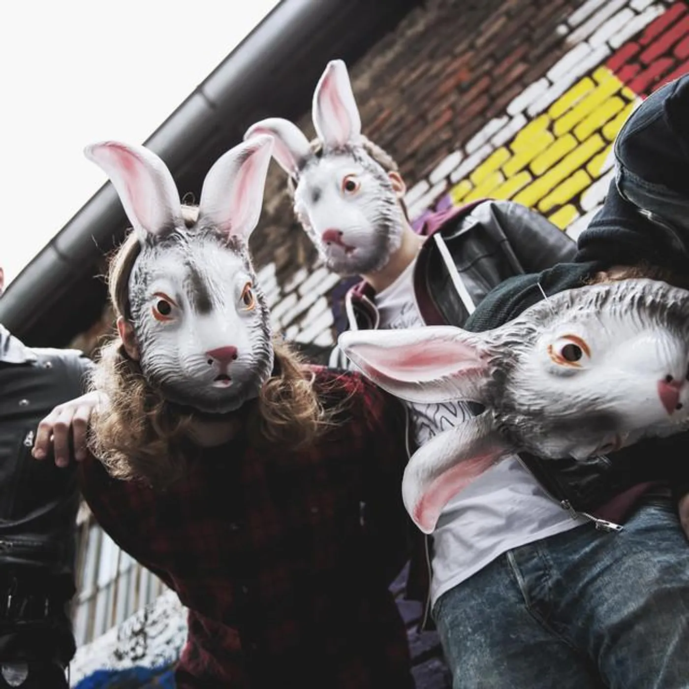 Contact High Brand Page