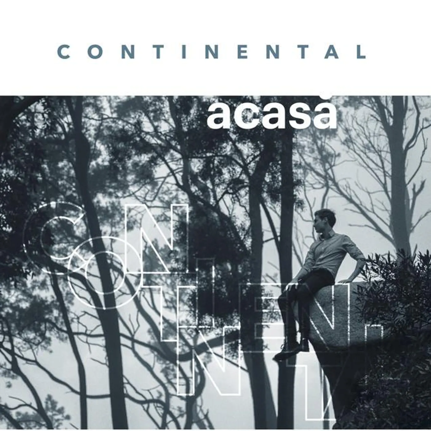 Continental Romania Brand Page