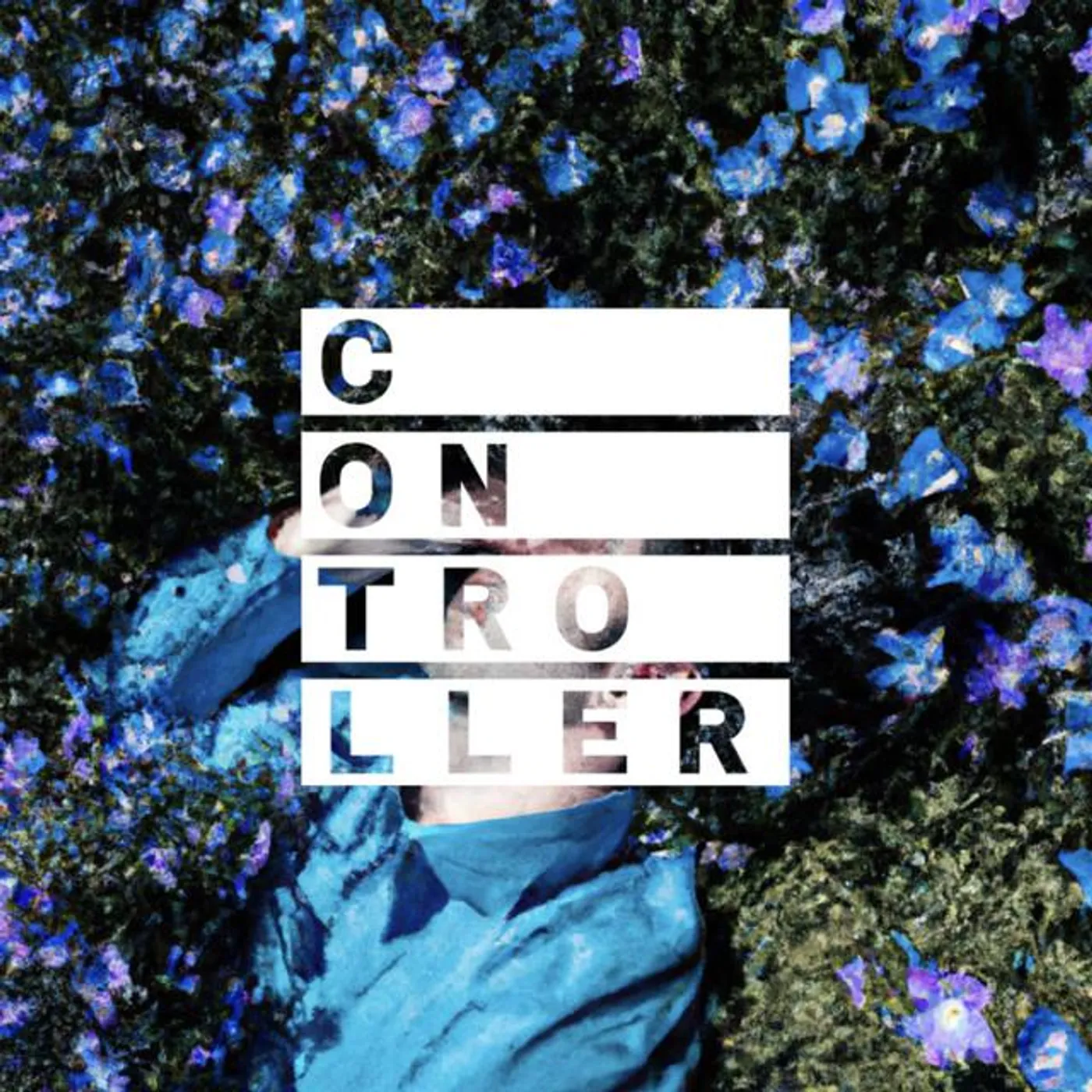 Controller.Controller Brand Page