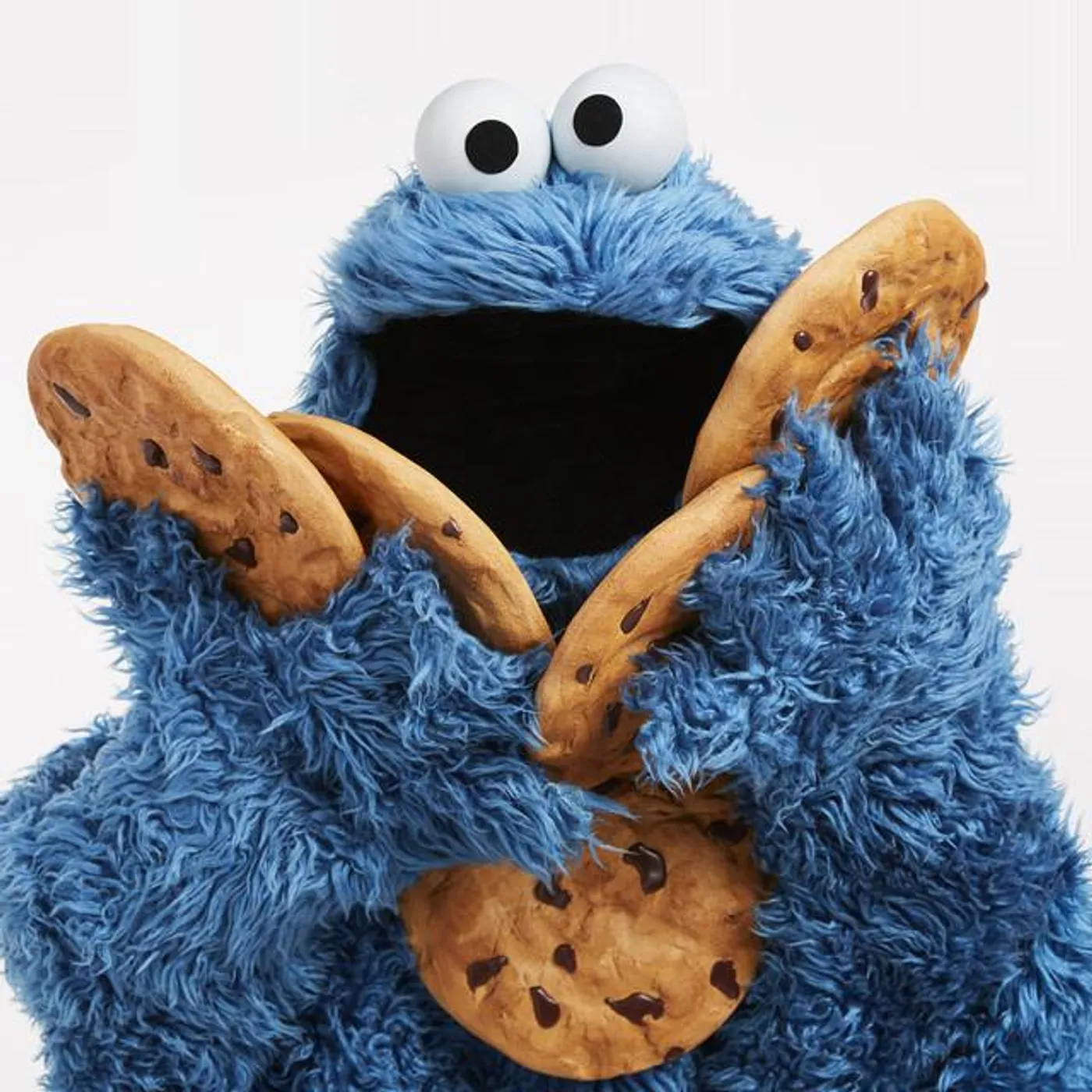 Cookie Monster Brand Page