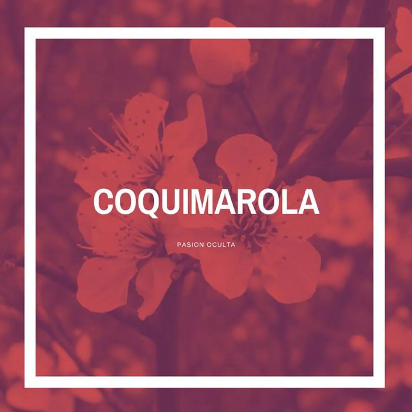 Coquimarola