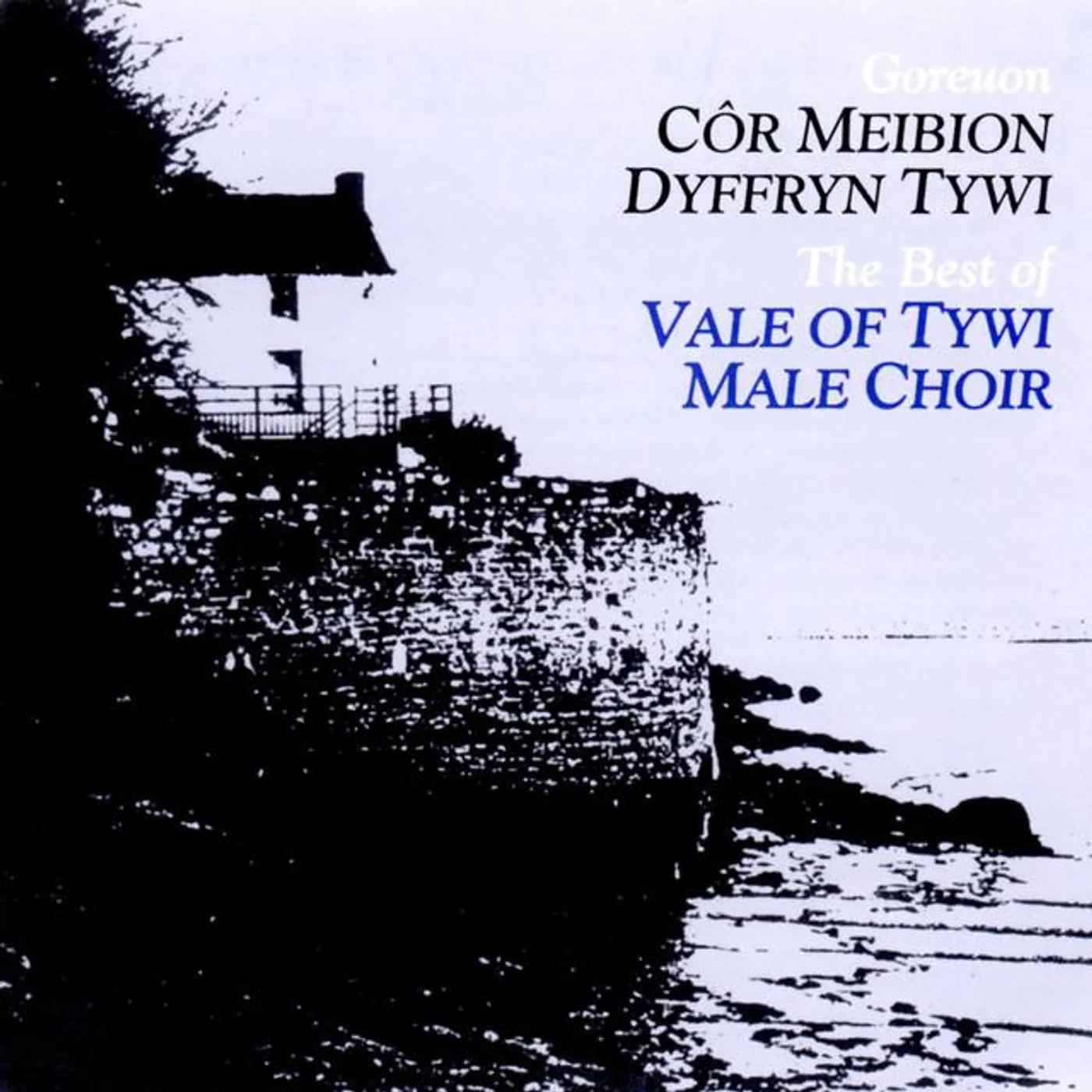 Cor Meibion Dyffryn Tywi Male Voice Choir