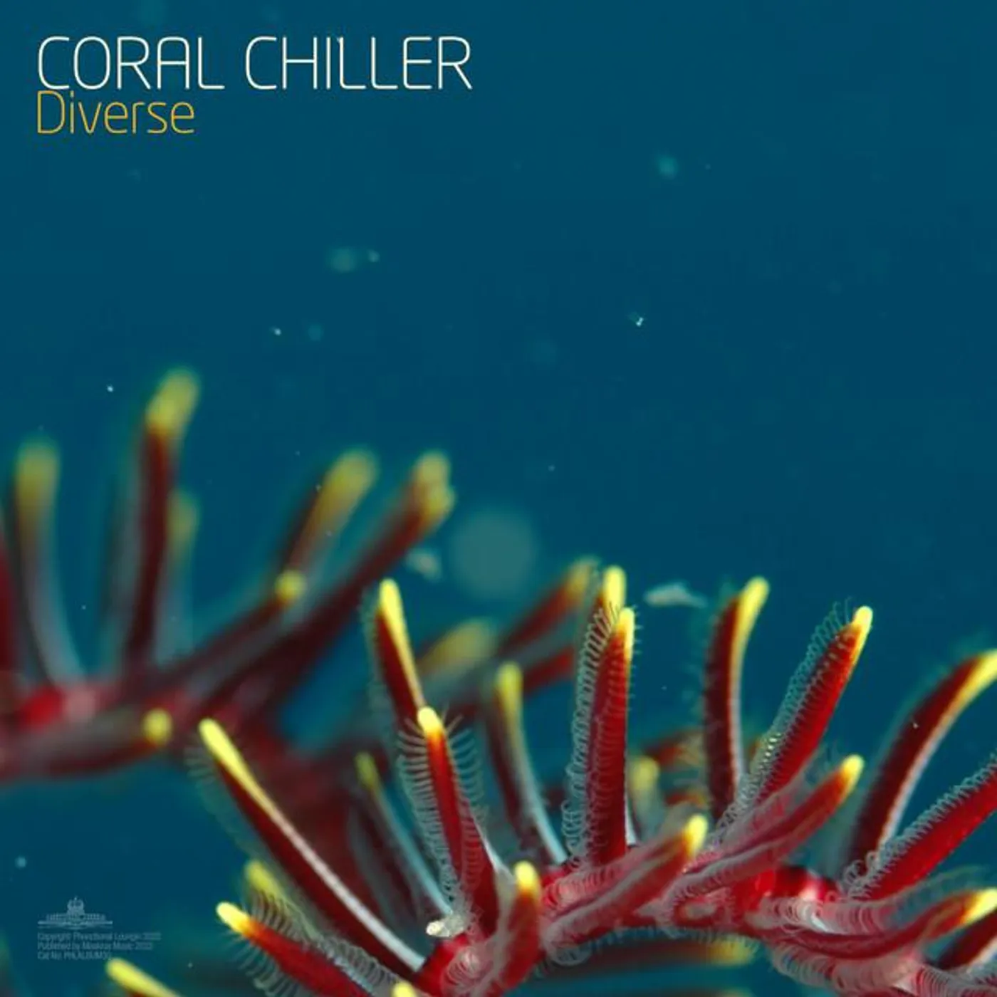 Coral Chiller