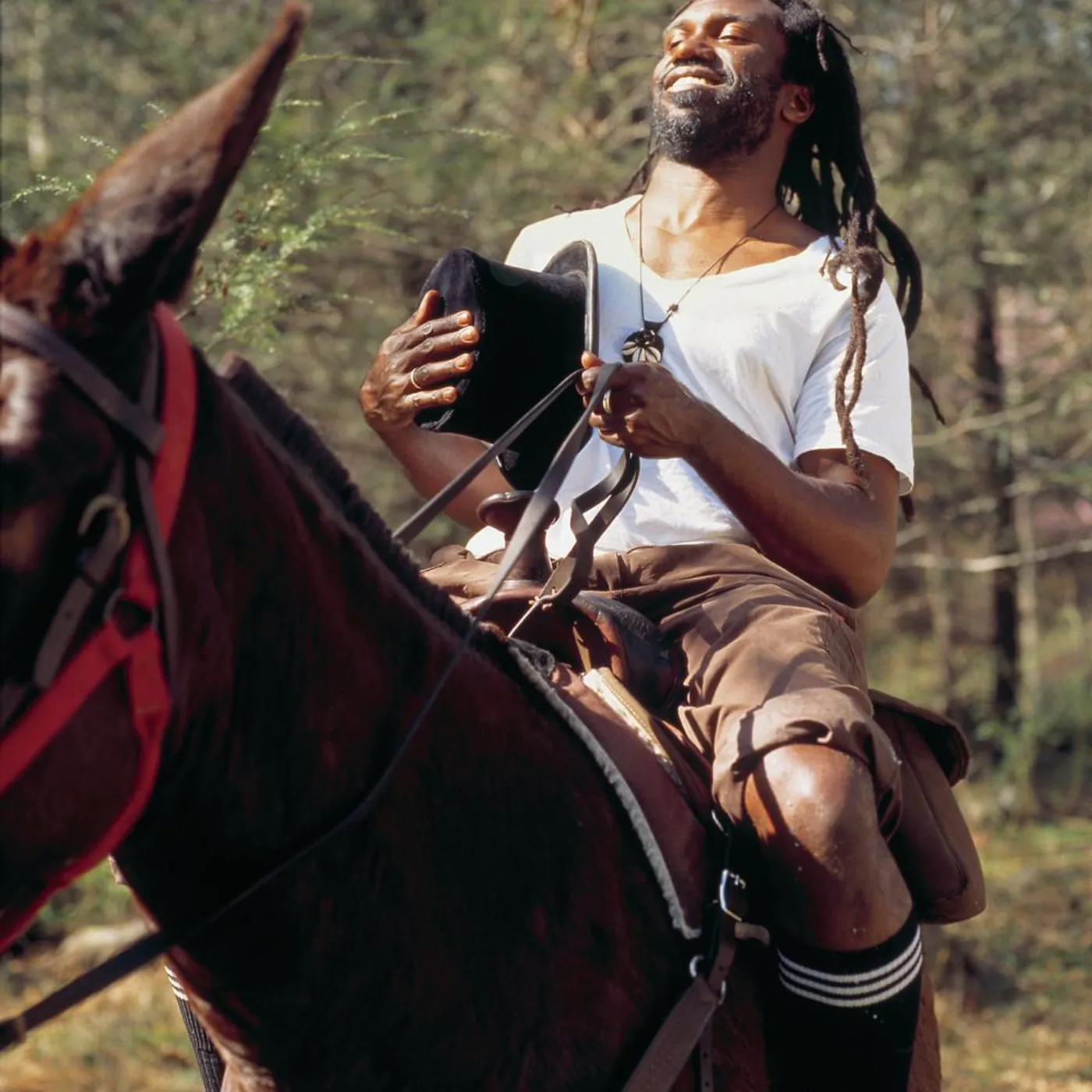 Corey Harris Brand Page