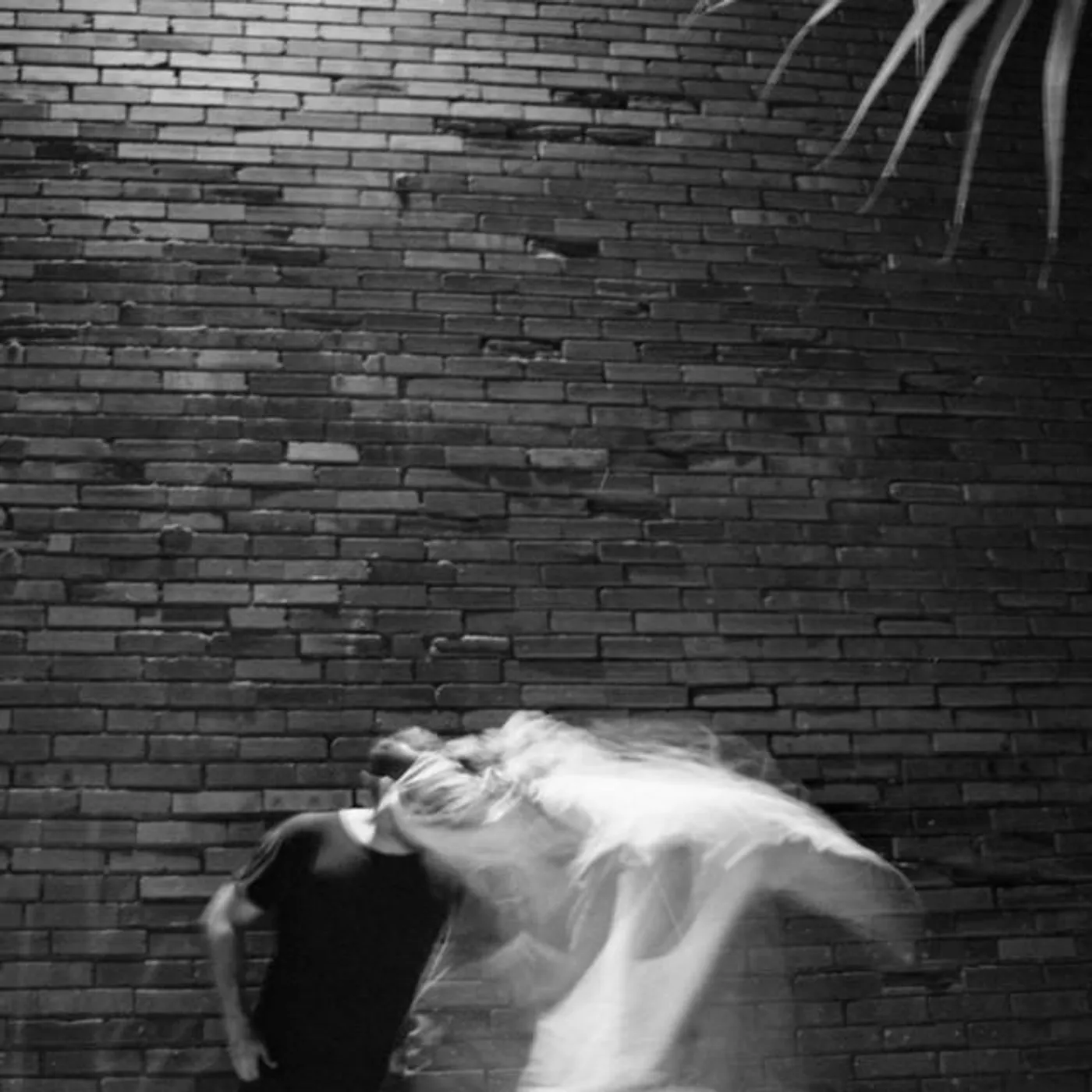 Corrado Ciervo Brand Page