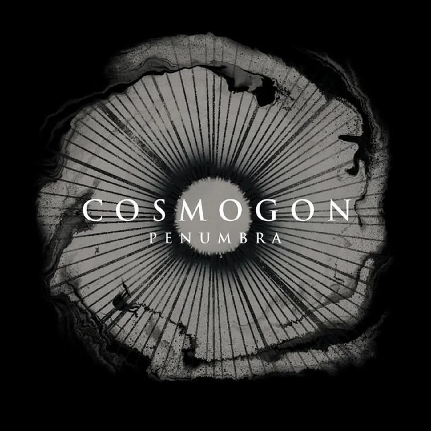 Cosmogon