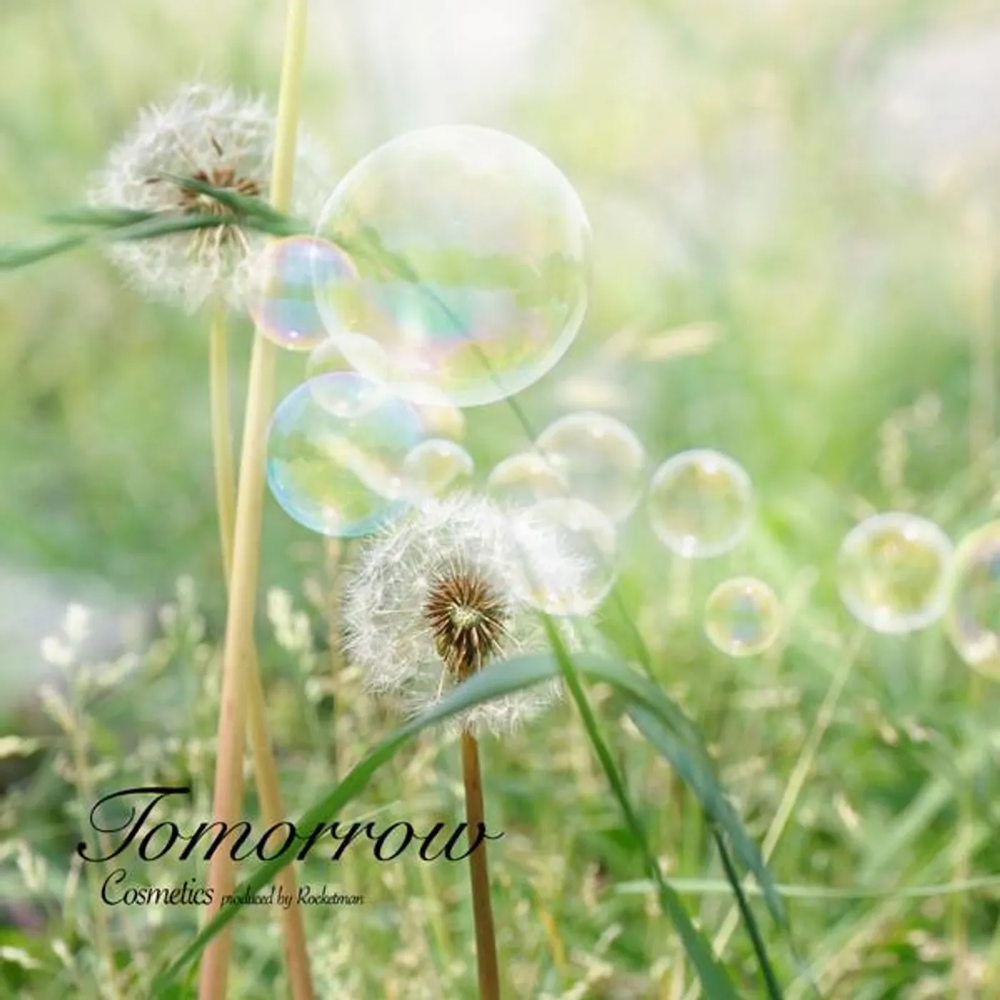 COSMETICS produced by ROCKETMAN Brand Page