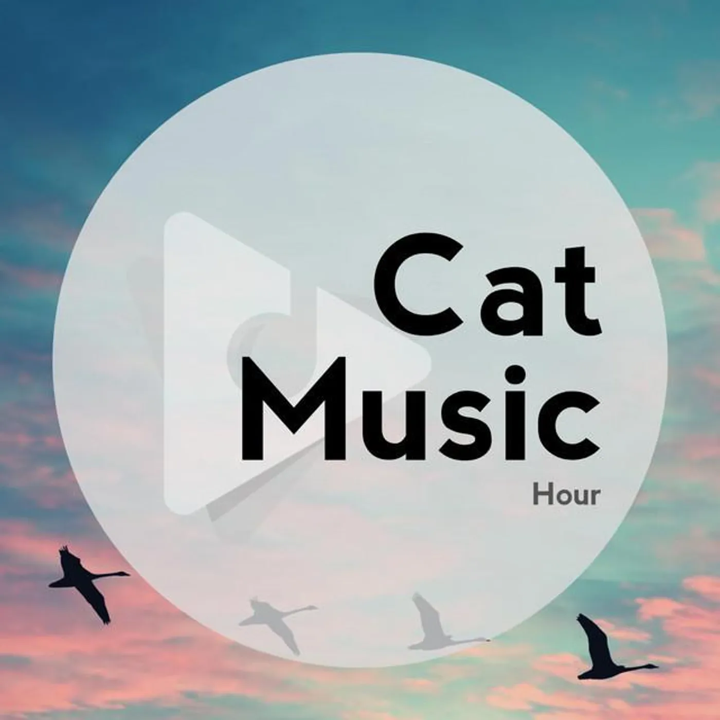 Cat Music Hour Brand Page