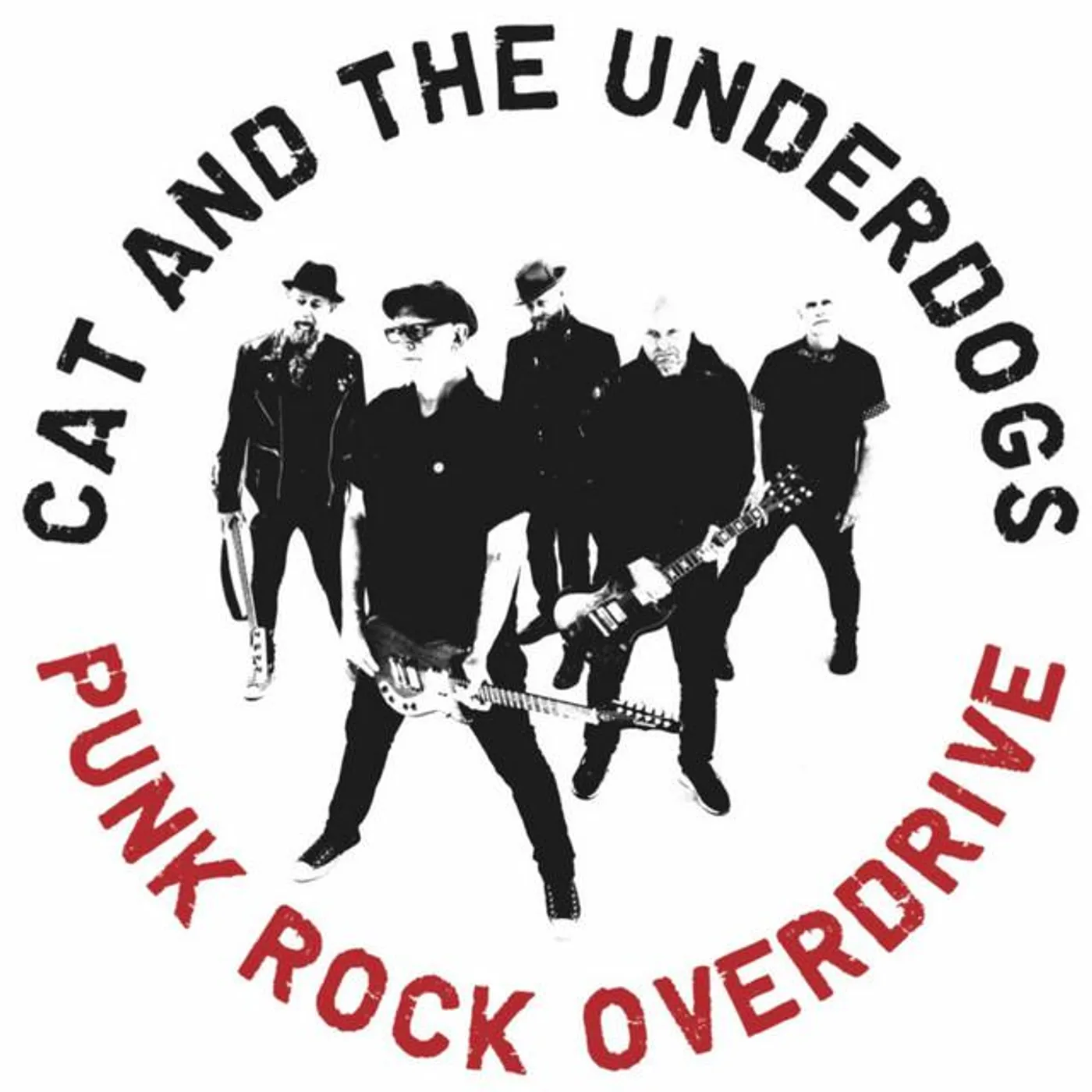 Cat and the Underdogs