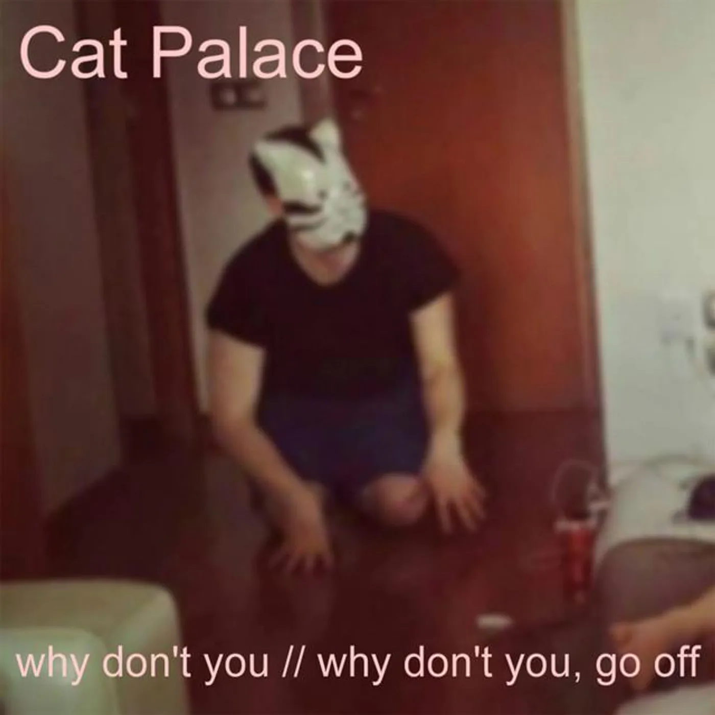 Cat Palace