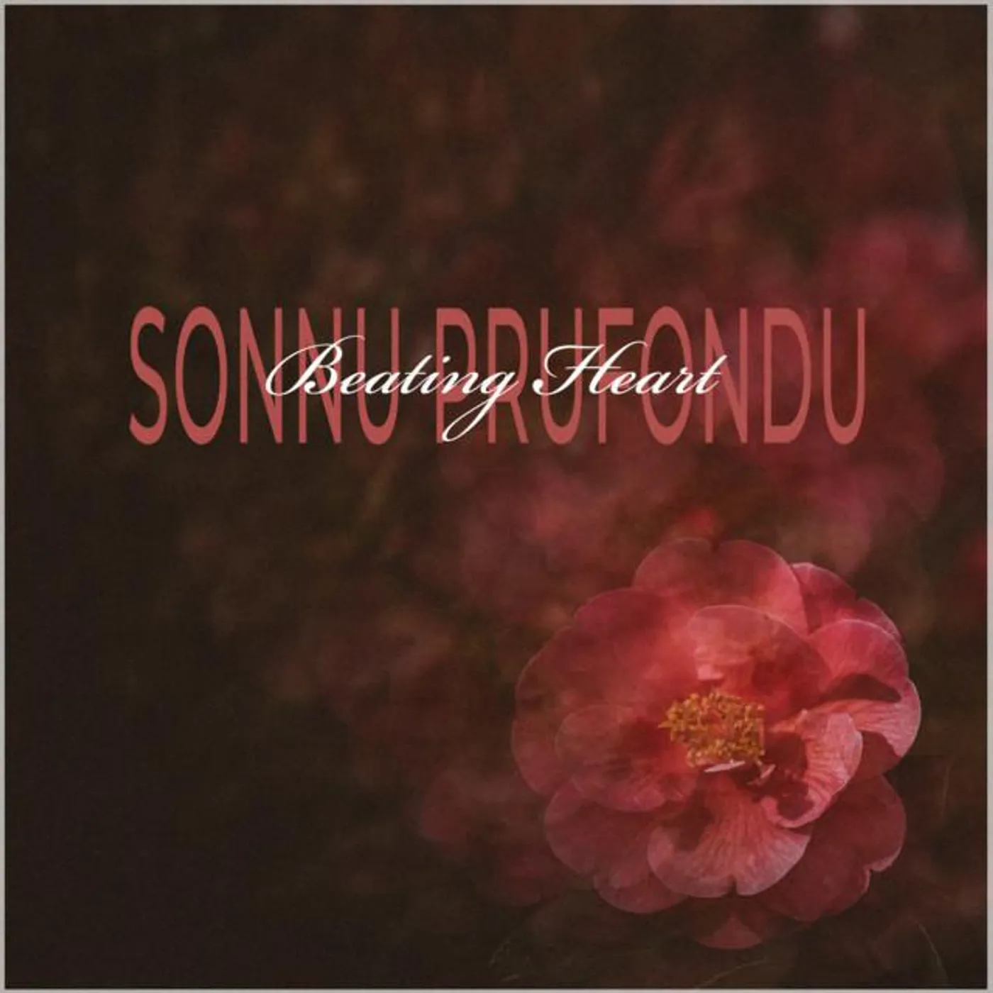 Catalina En Collins Brand Page