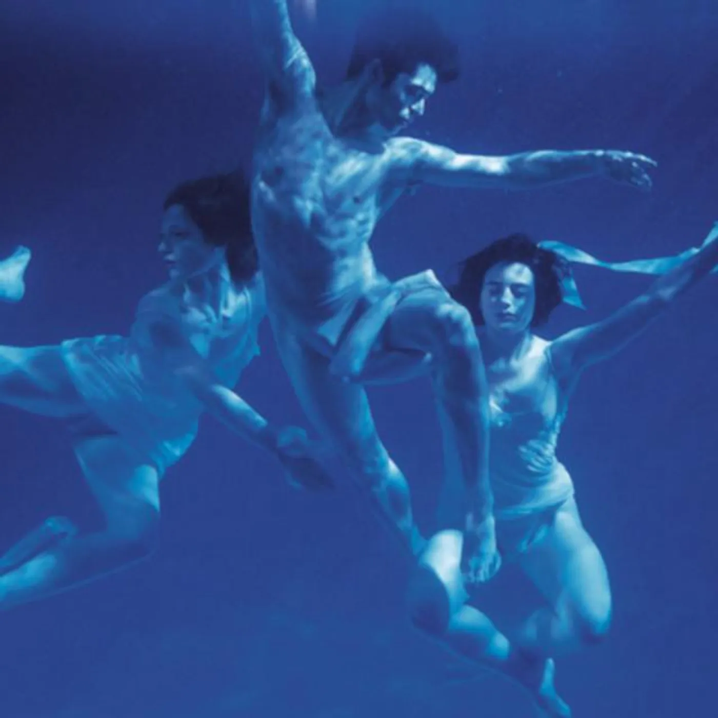 Catherine Wheel Brand Page