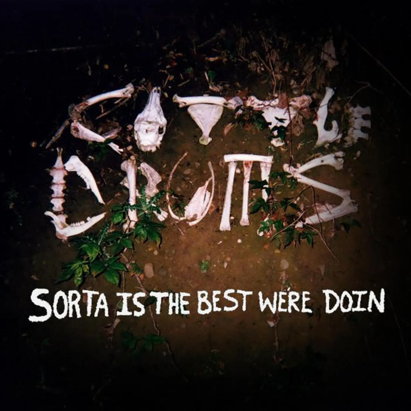 Cattle Drums Brand Page