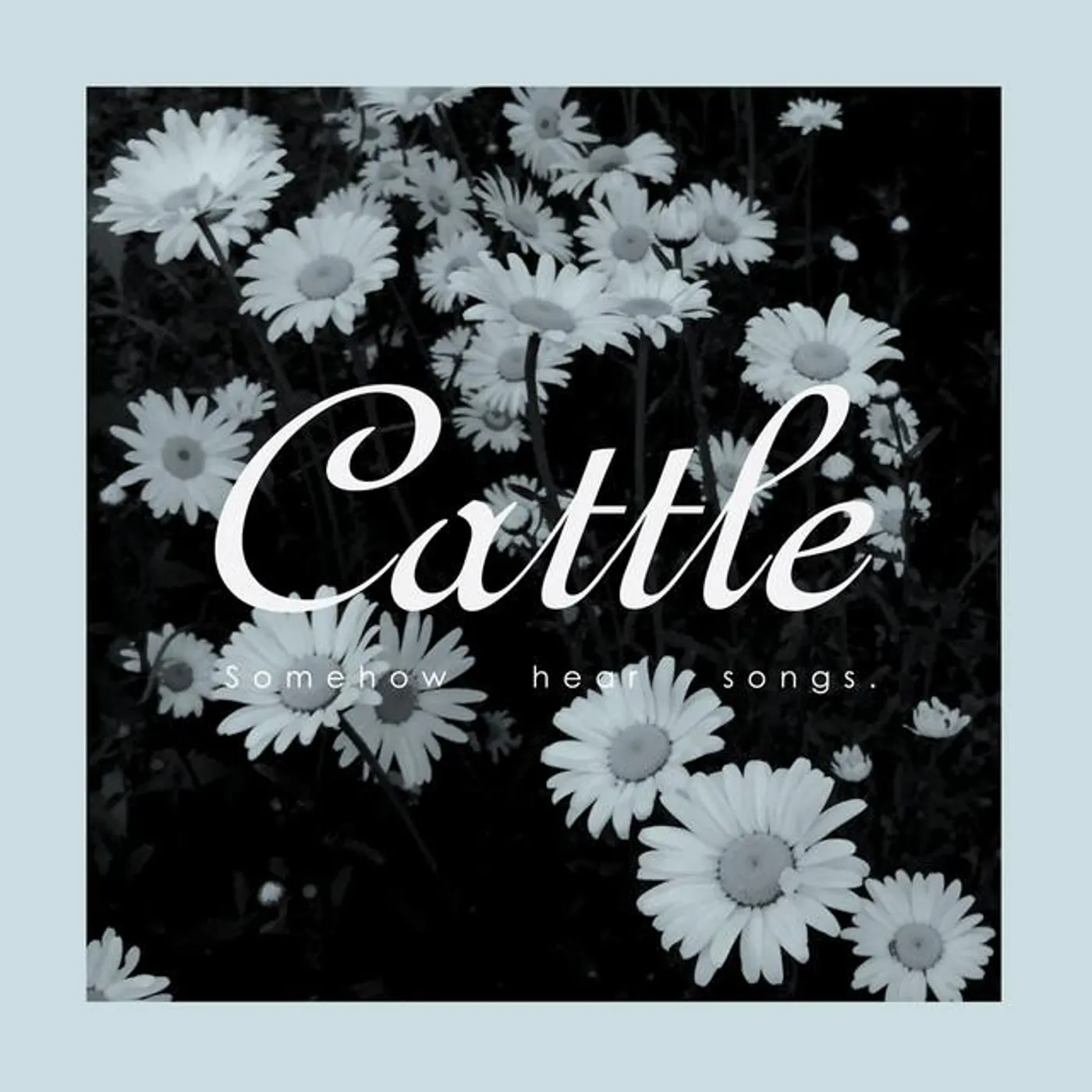 Cattle Brand Page