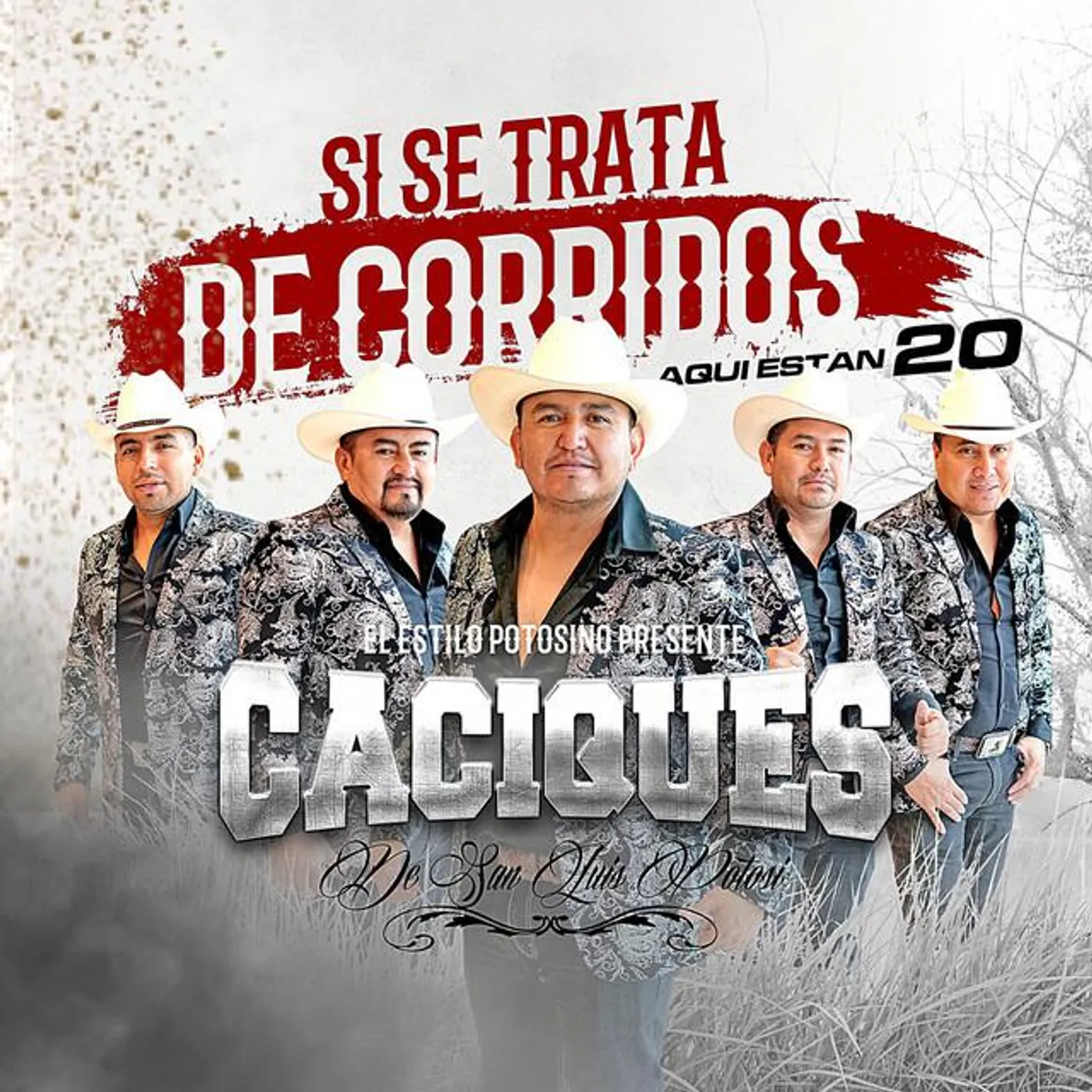 Caciques De San Luis Potosi