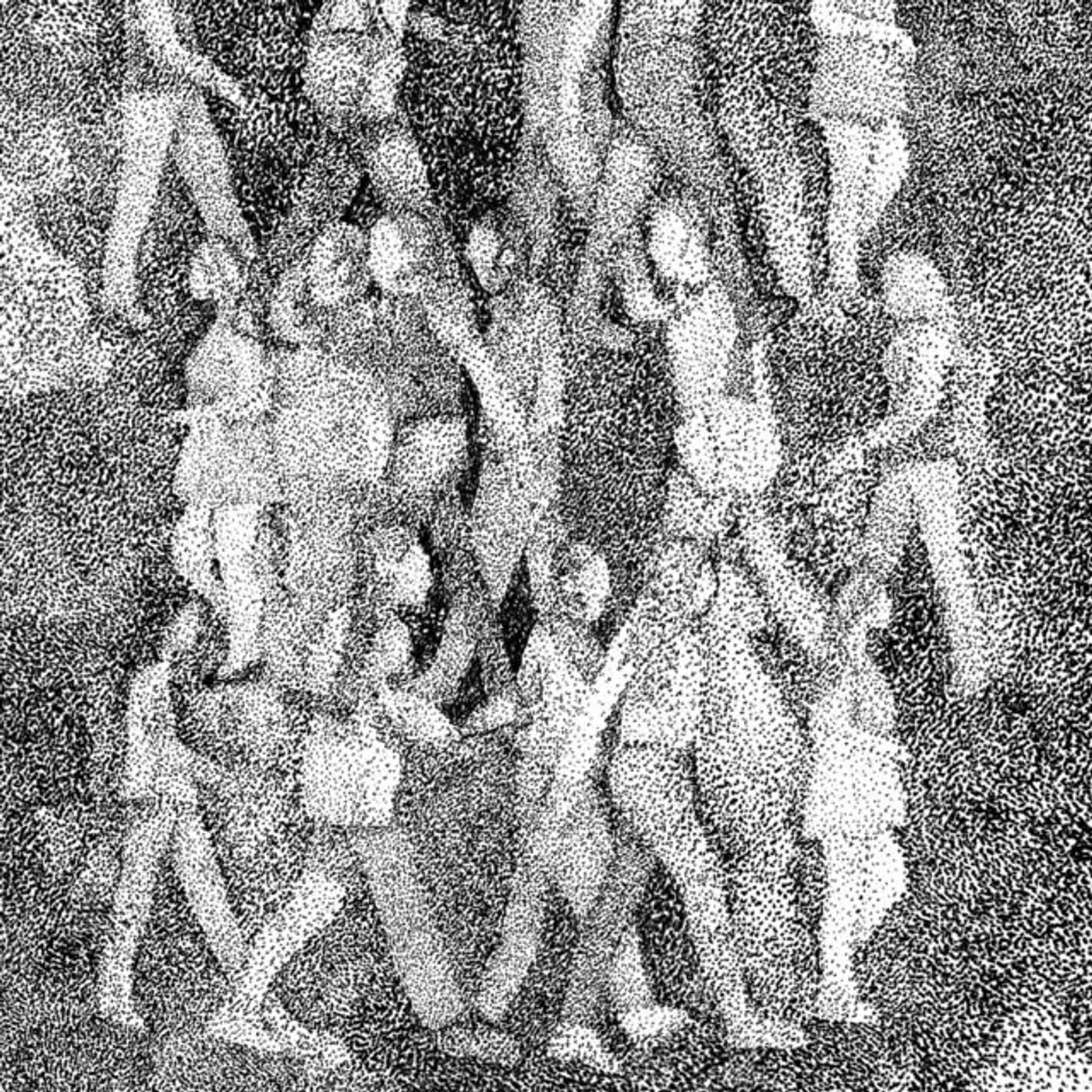 Cadáver em Transe Brand Page