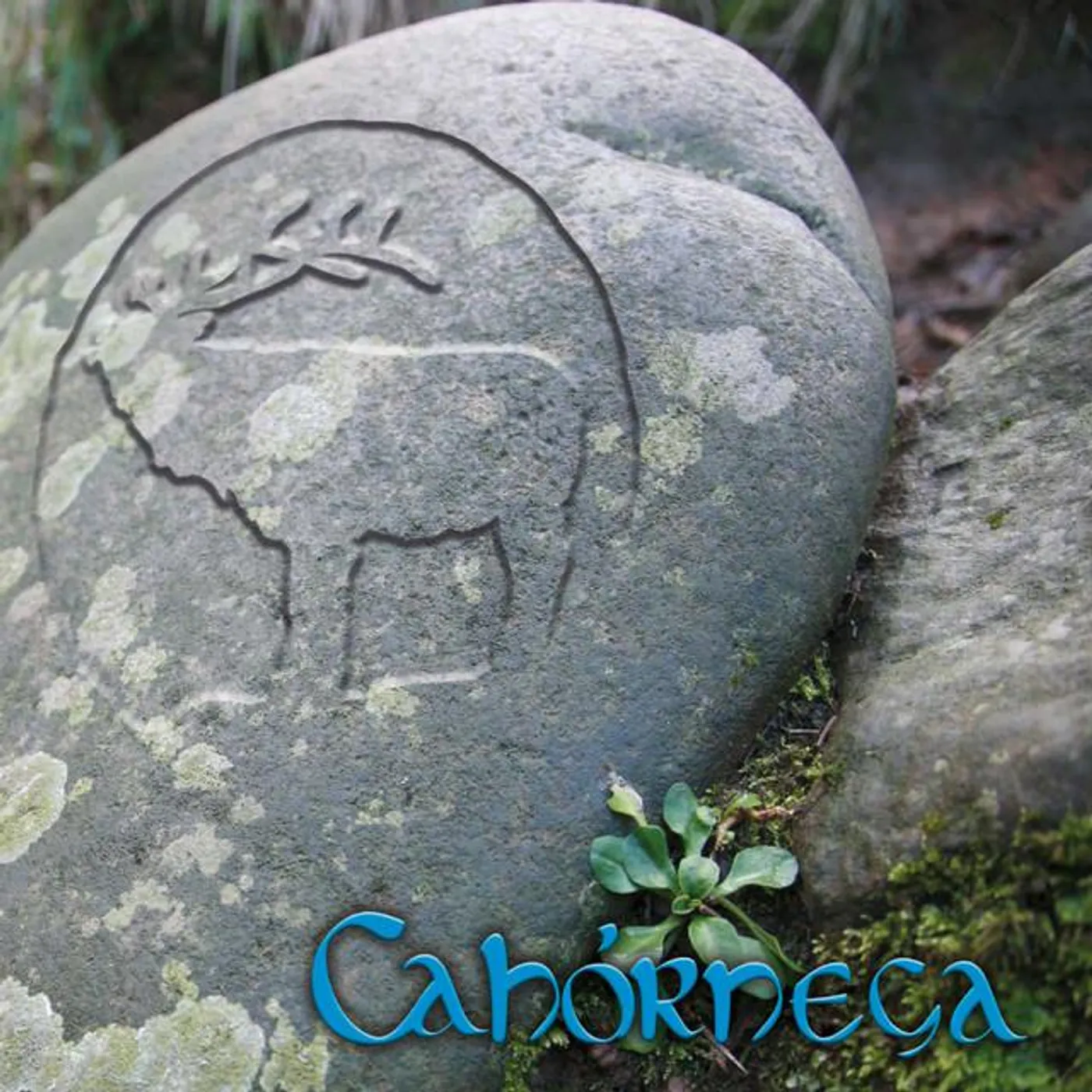 Cahórnega