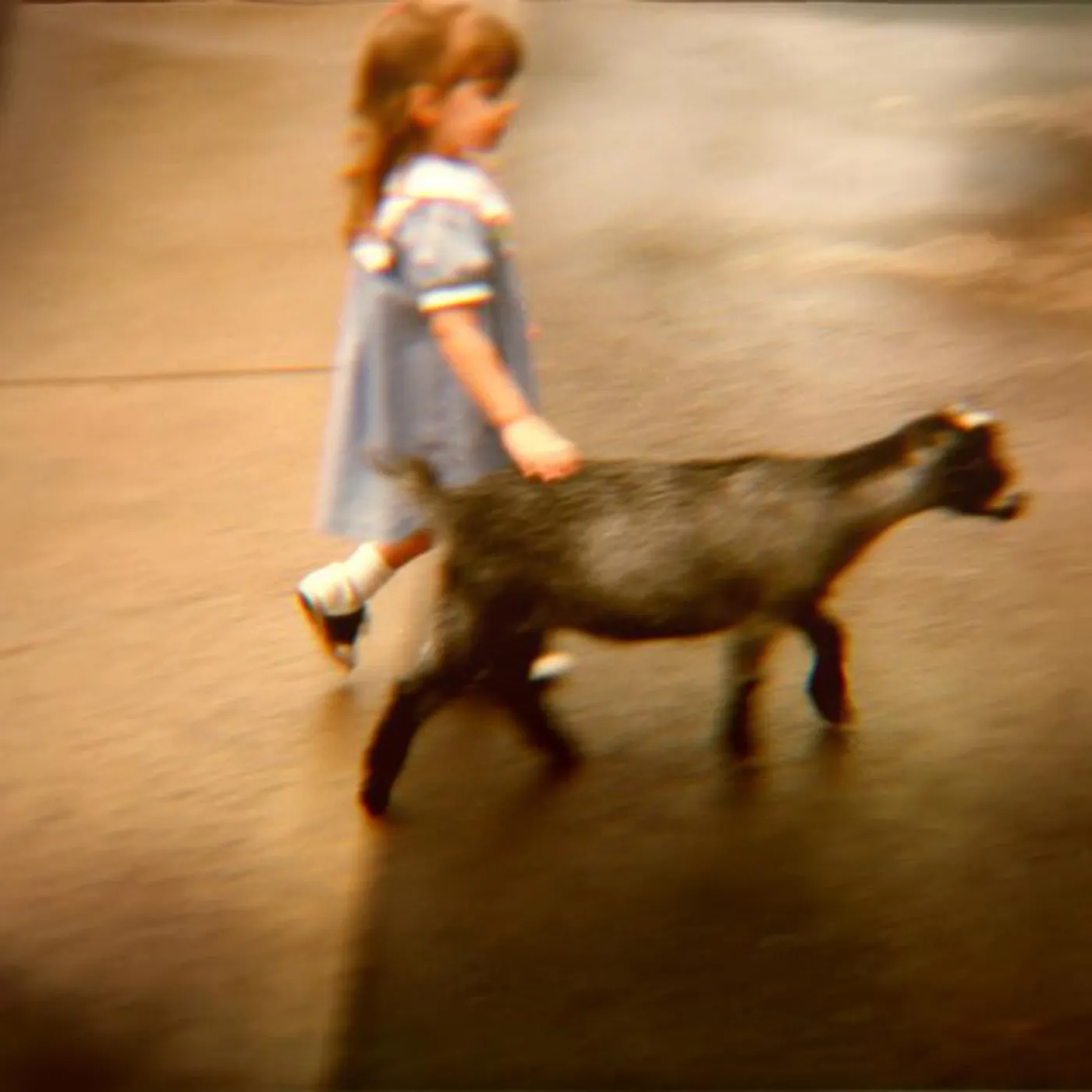 Caitlin Kraus Brand Page