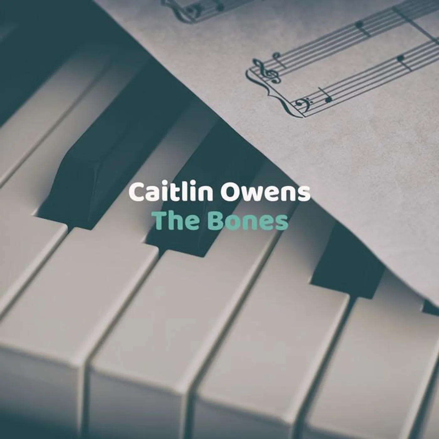 Caitlin Owens Brand Page