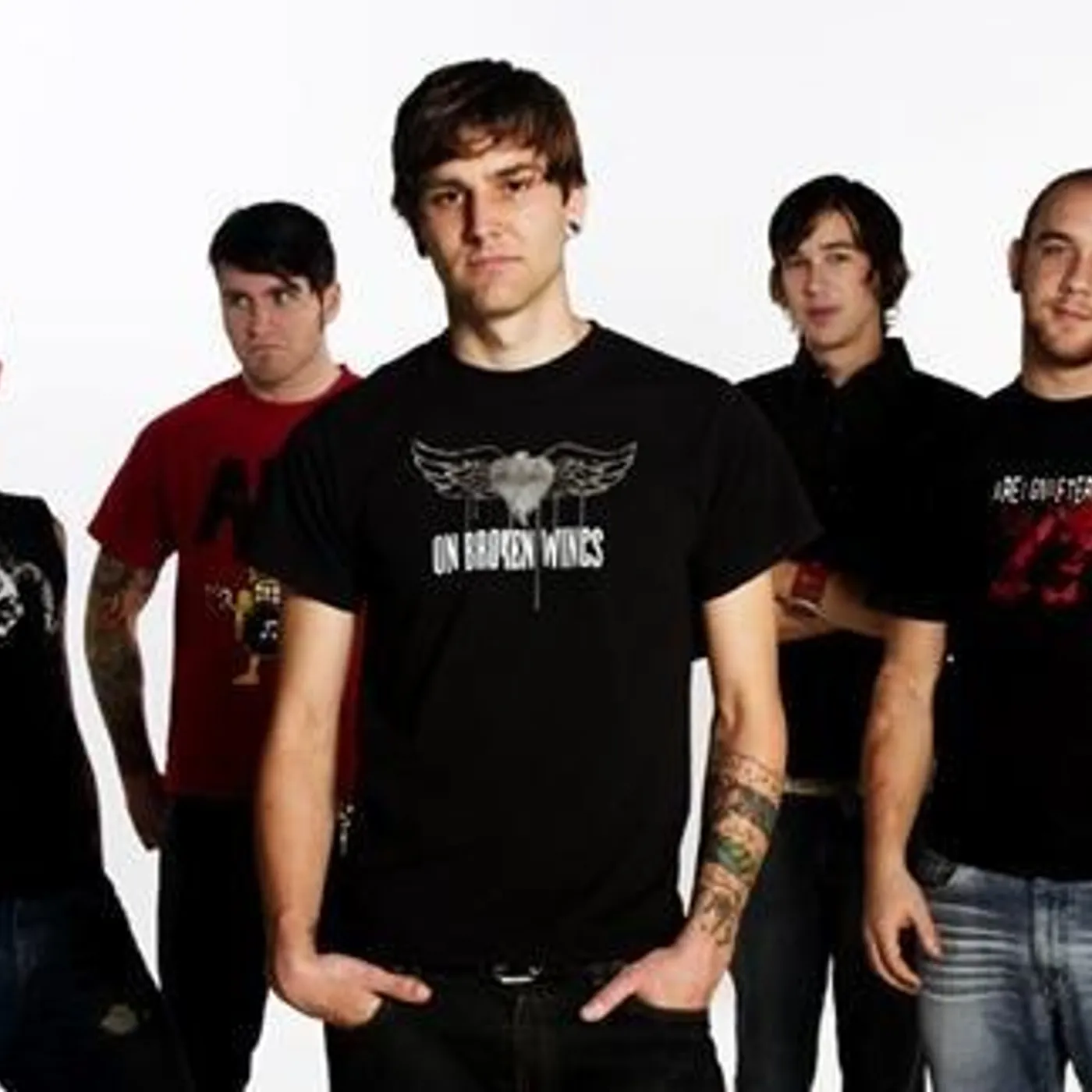 Calico System Brand Page