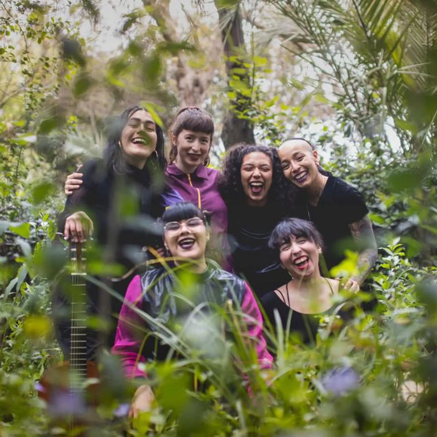 Calila Lila Colectivo