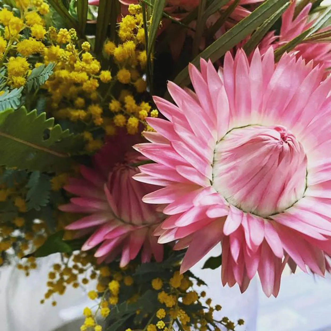 Calm Chords Brand Page