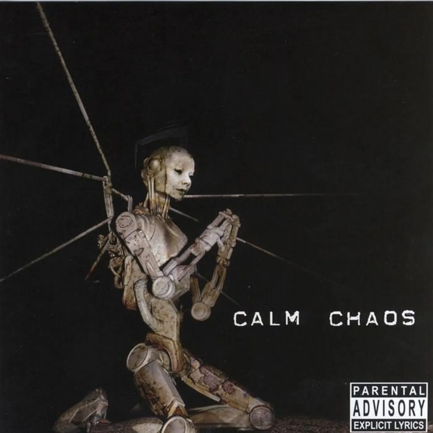 Calm Chaos Brand Page