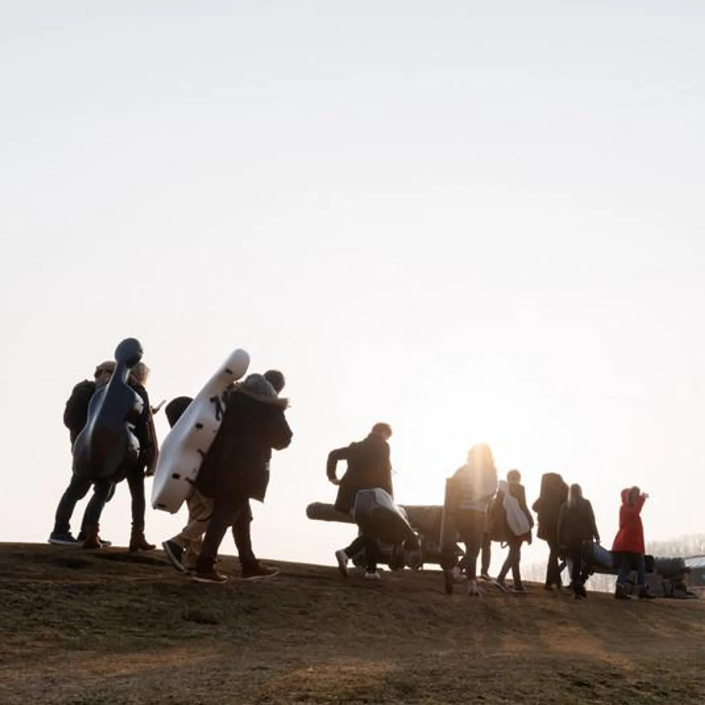 Camerata Nordica Brand Page