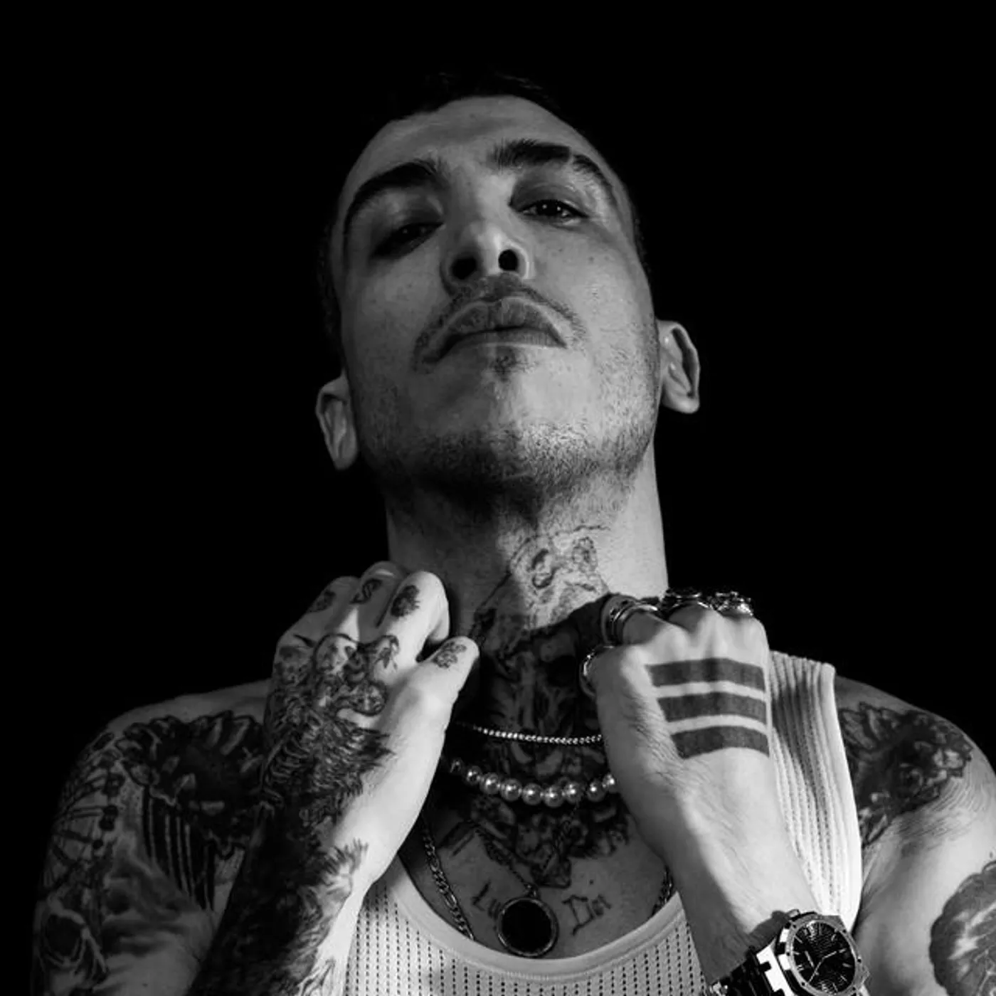 Can Bonomo Brand Page