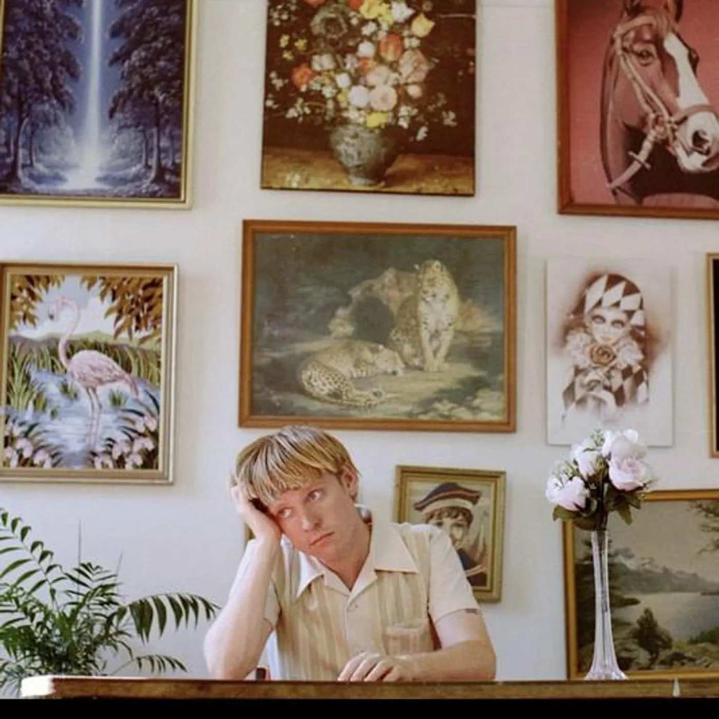 Candy Moore Brand Page