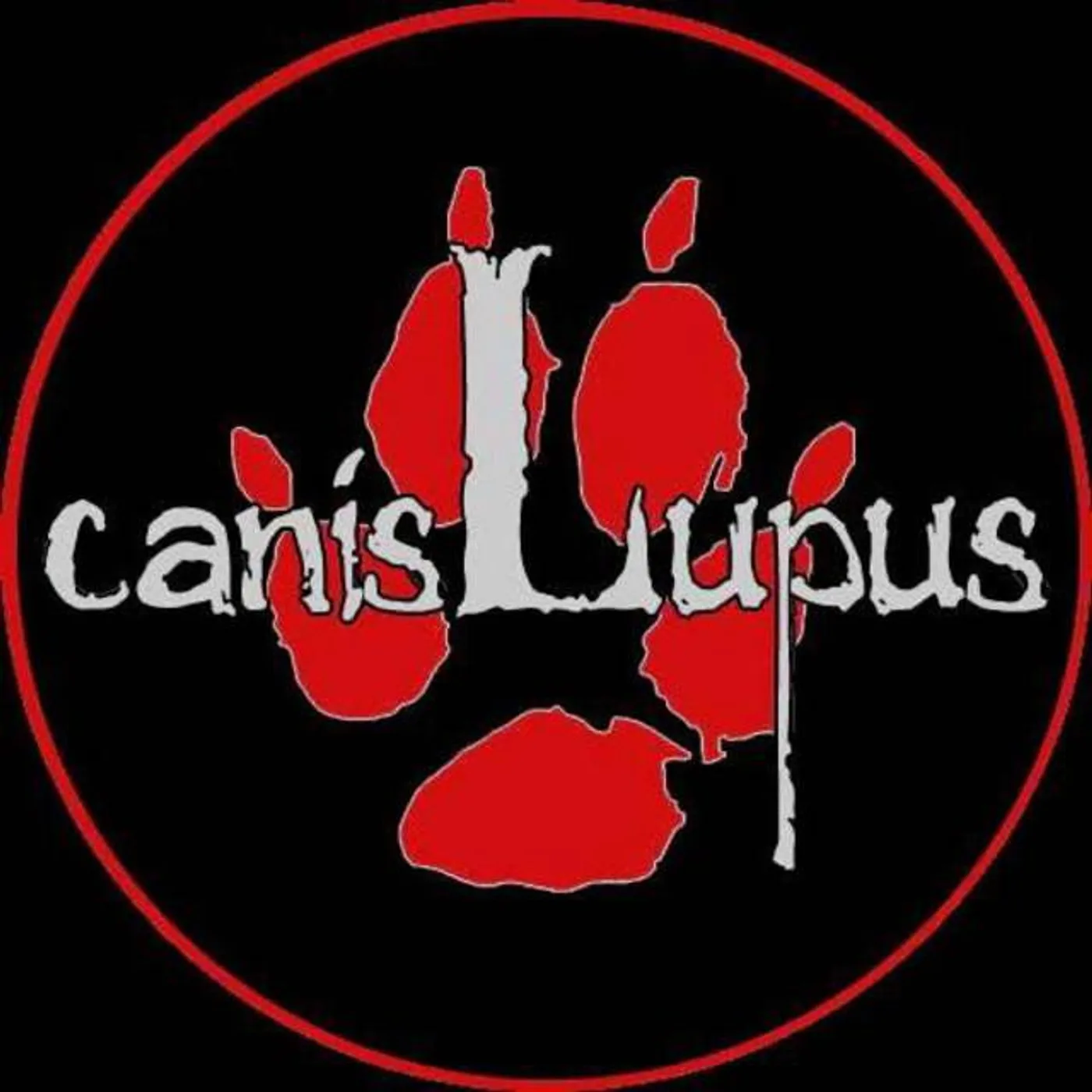 Canis Lupus