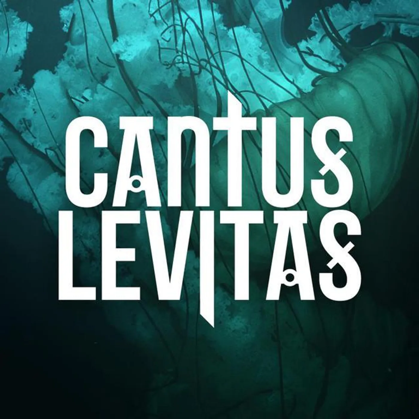 Cantus Levitas