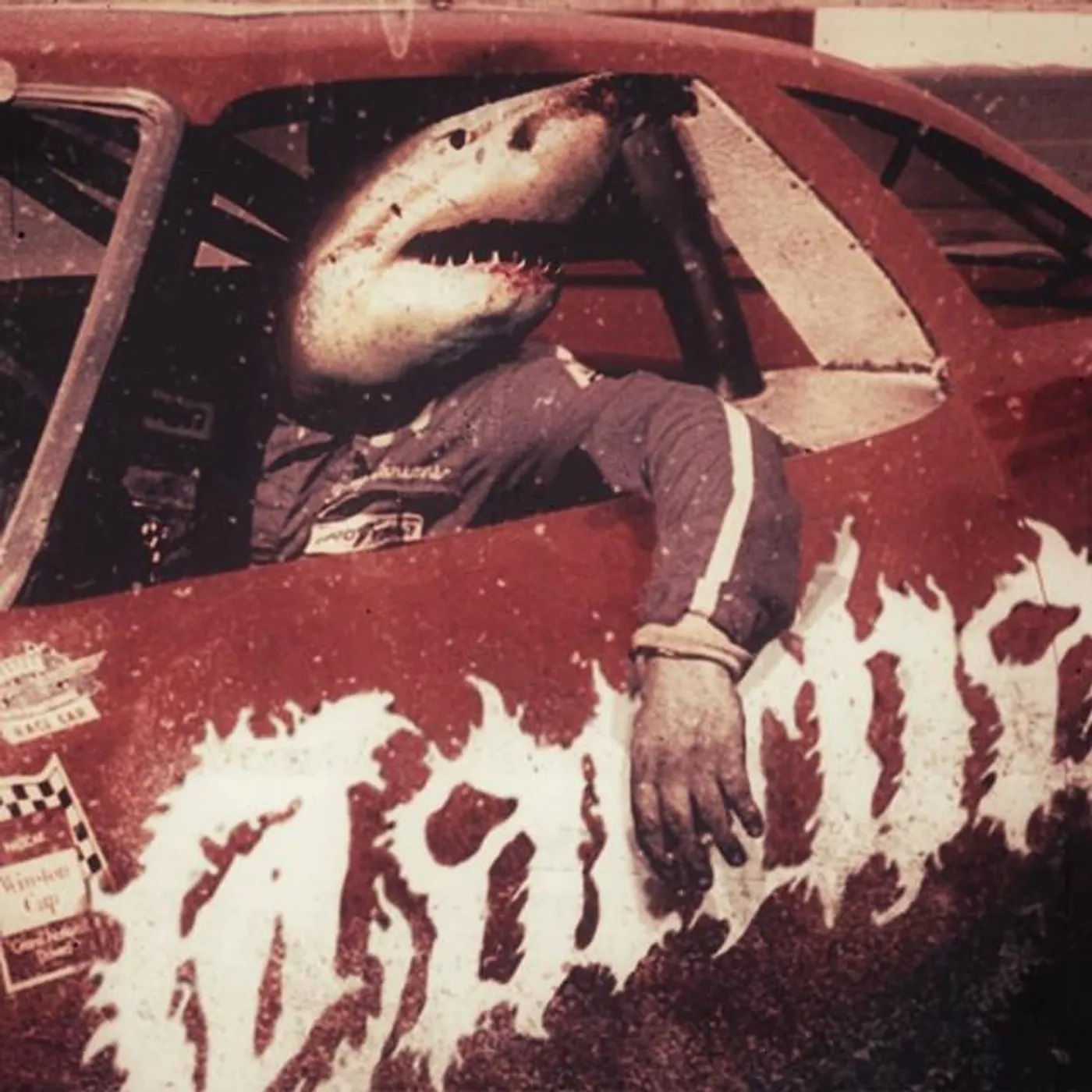 Carcharodon Brand Page