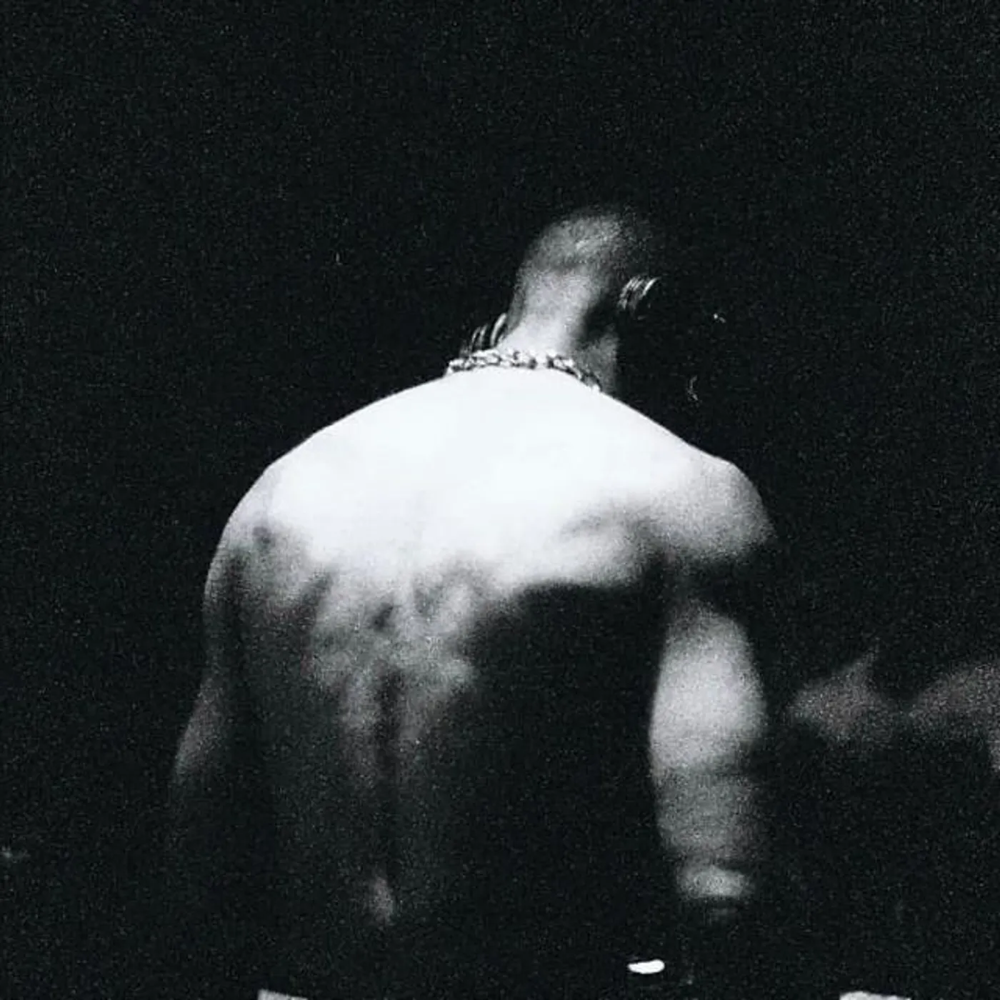 Cardinal & Nun Brand Page